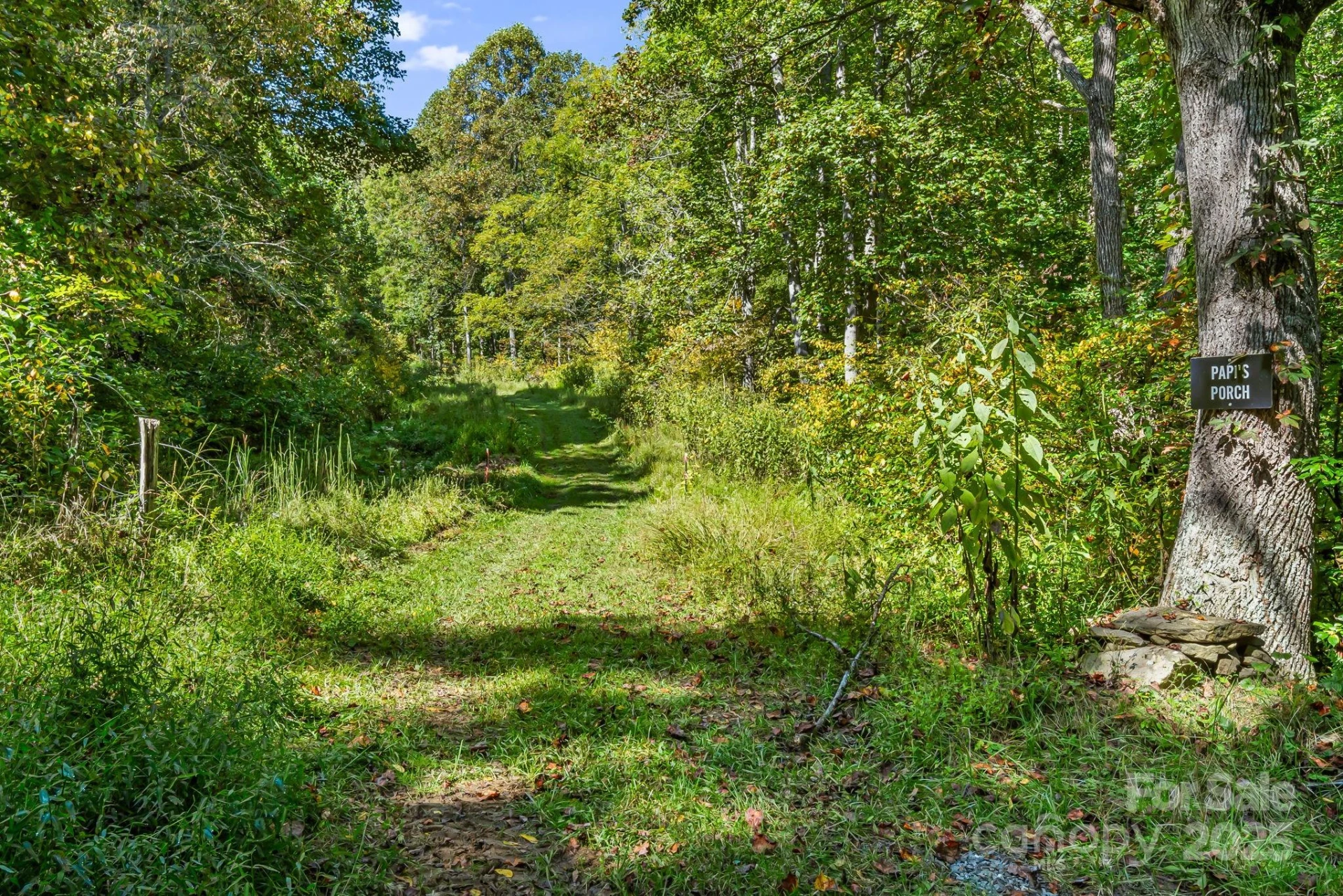 000 Maney Branch Road - Photo 22