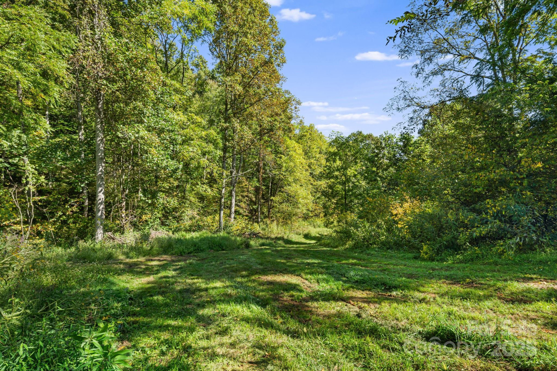 000 Maney Branch Road - Photo 23