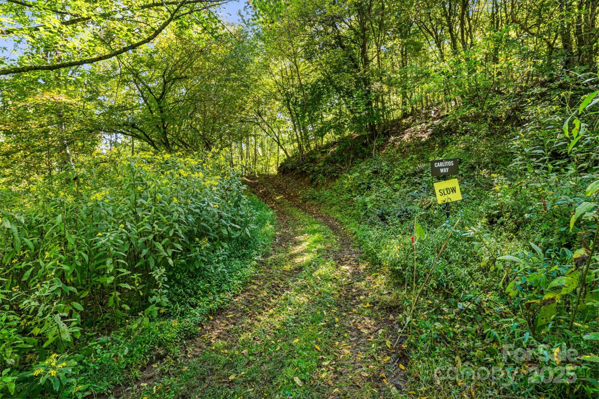 000 Maney Branch Road - Photo 24