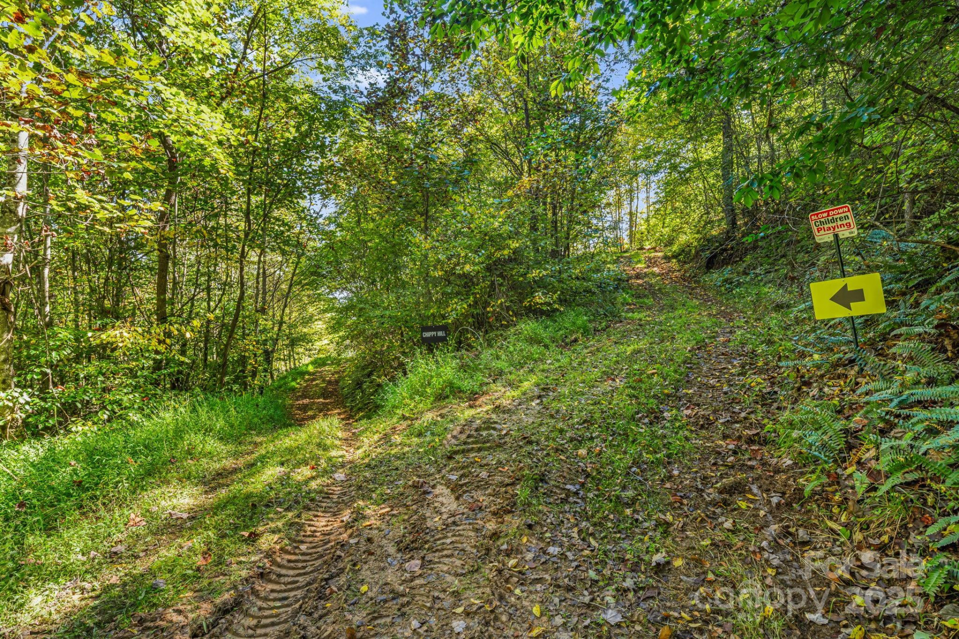 000 Maney Branch Road - Photo 25