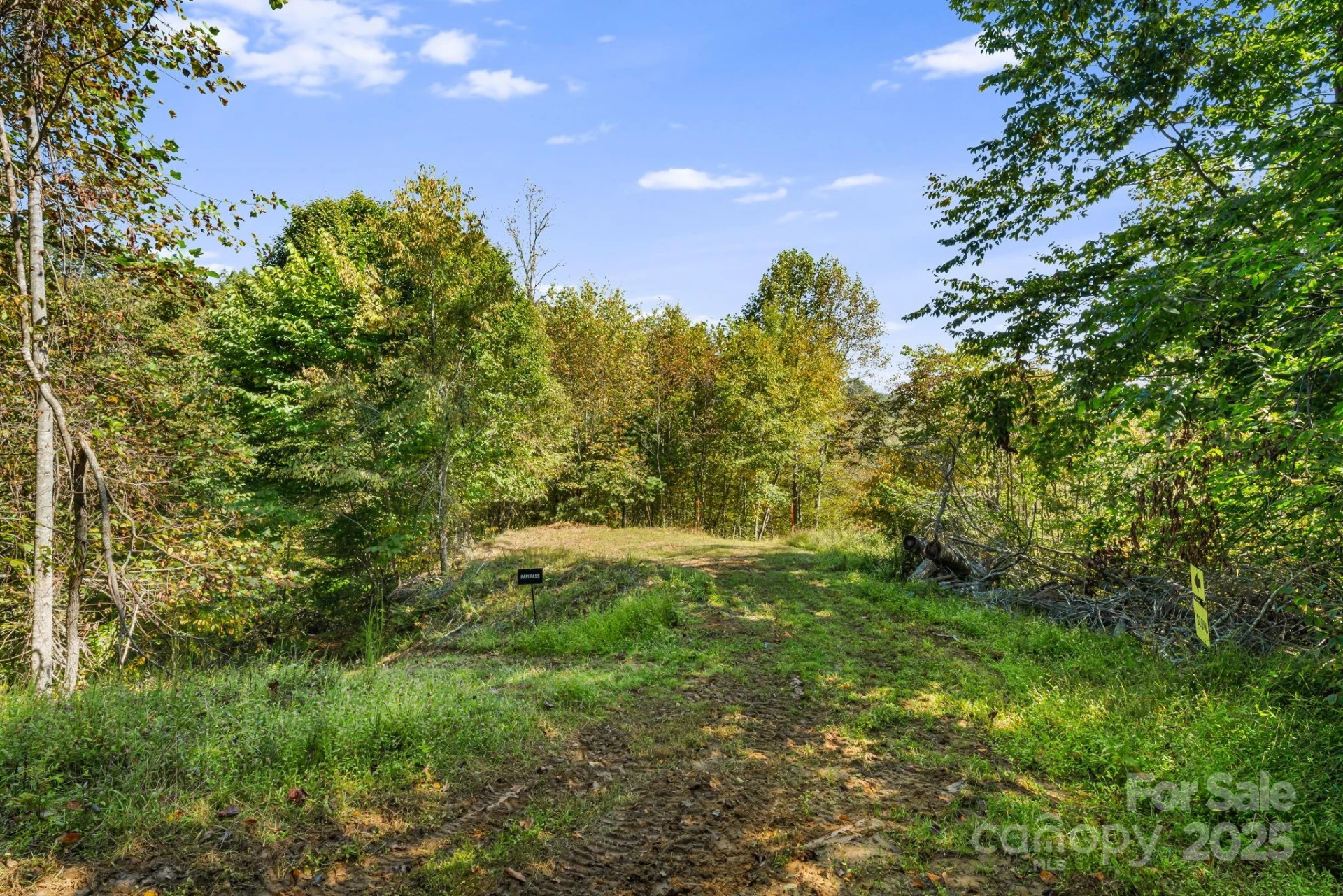 000 Maney Branch Road - Photo 26