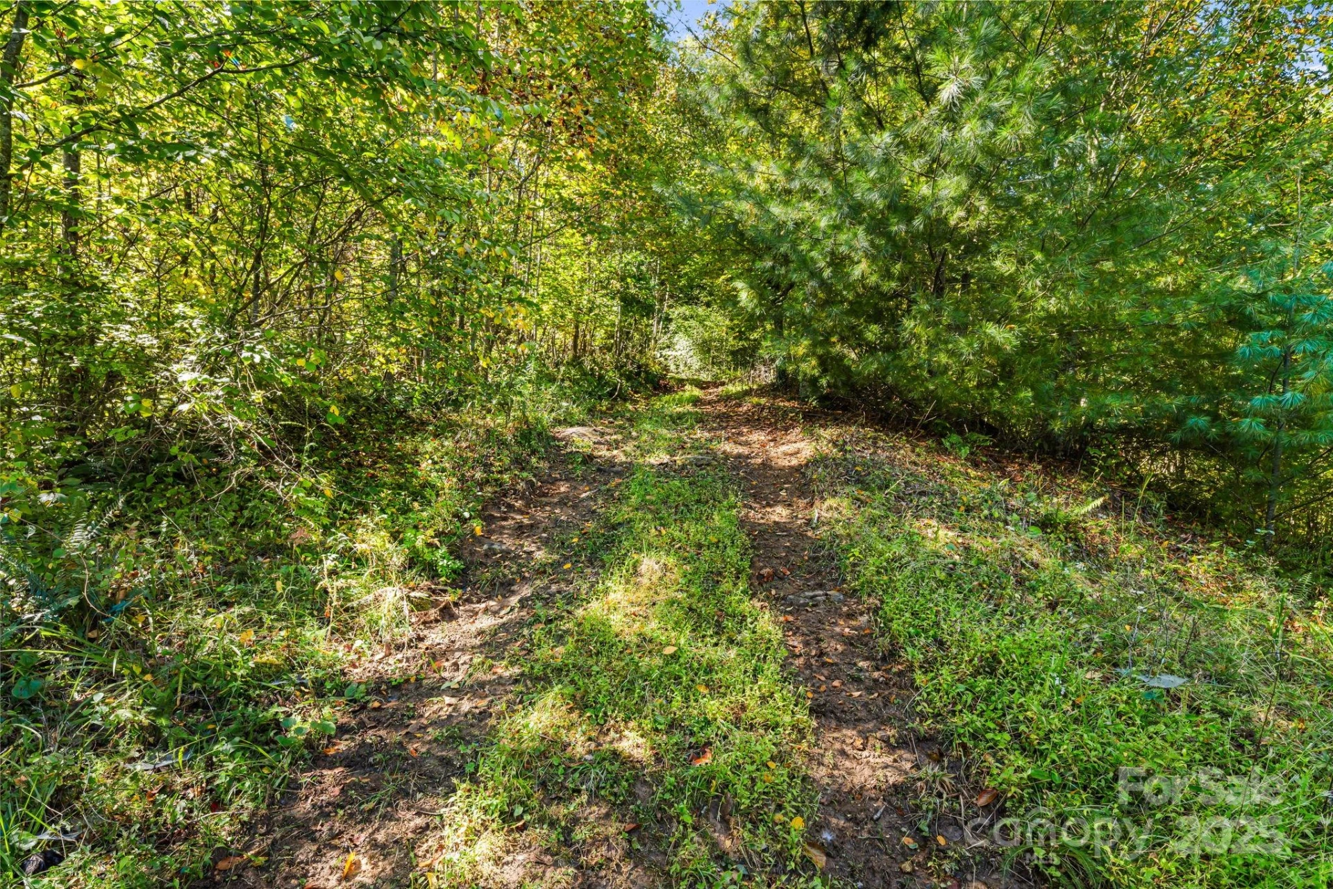 000 Maney Branch Road - Photo 27