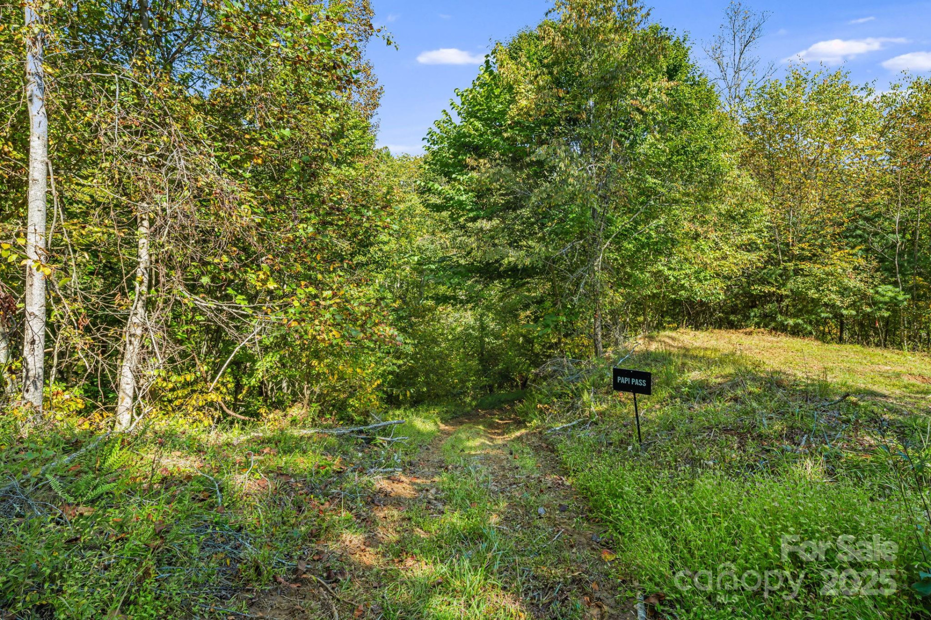 000 Maney Branch Road - Photo 28