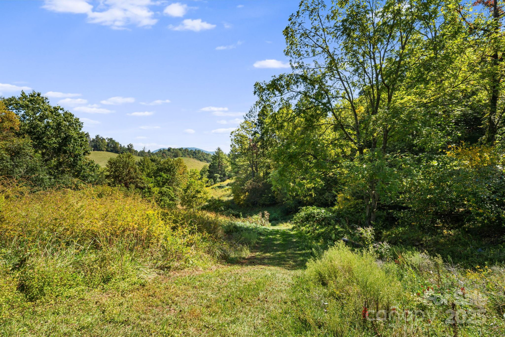 000 Maney Branch Road - Photo 31