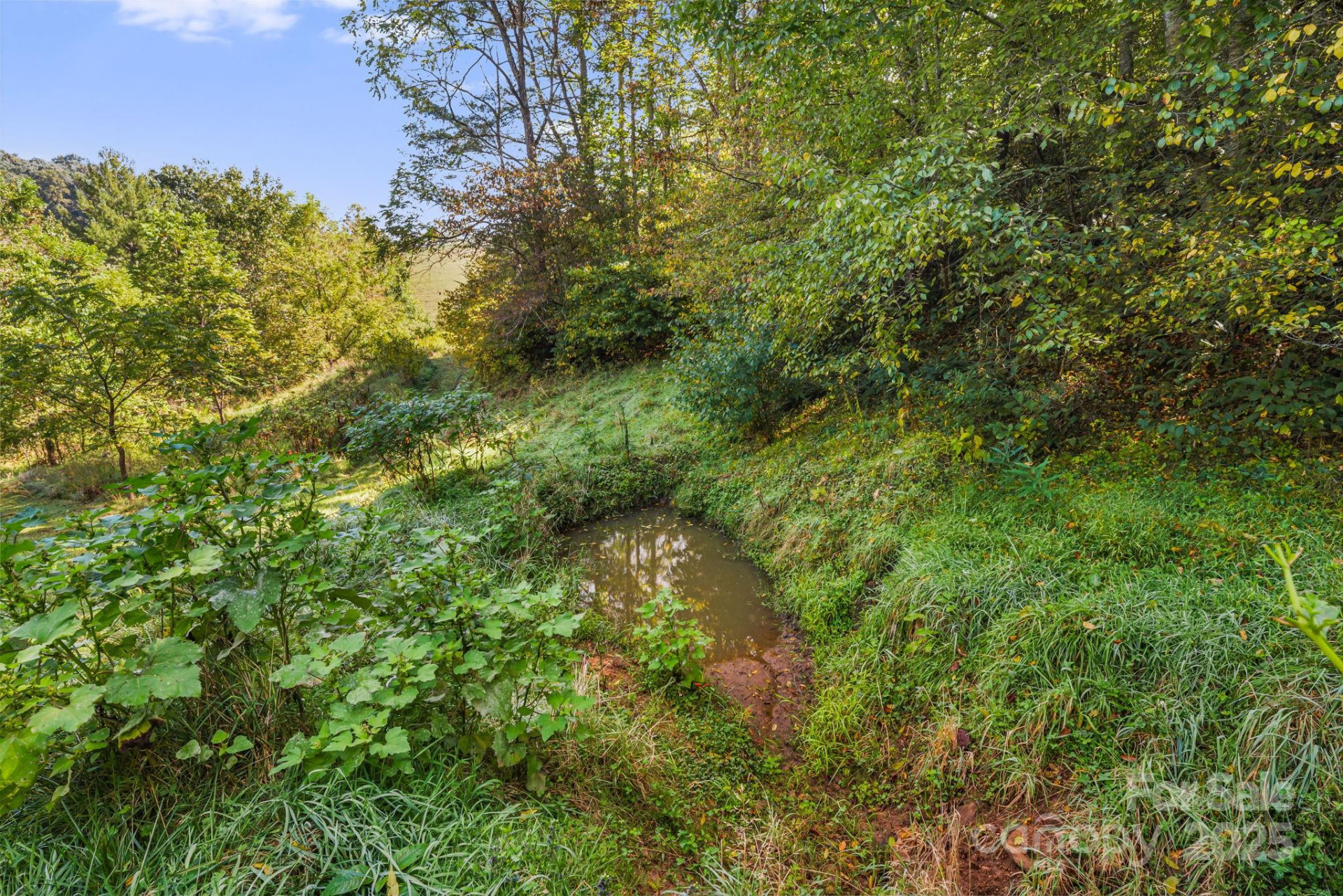 000 Maney Branch Road - Photo 32