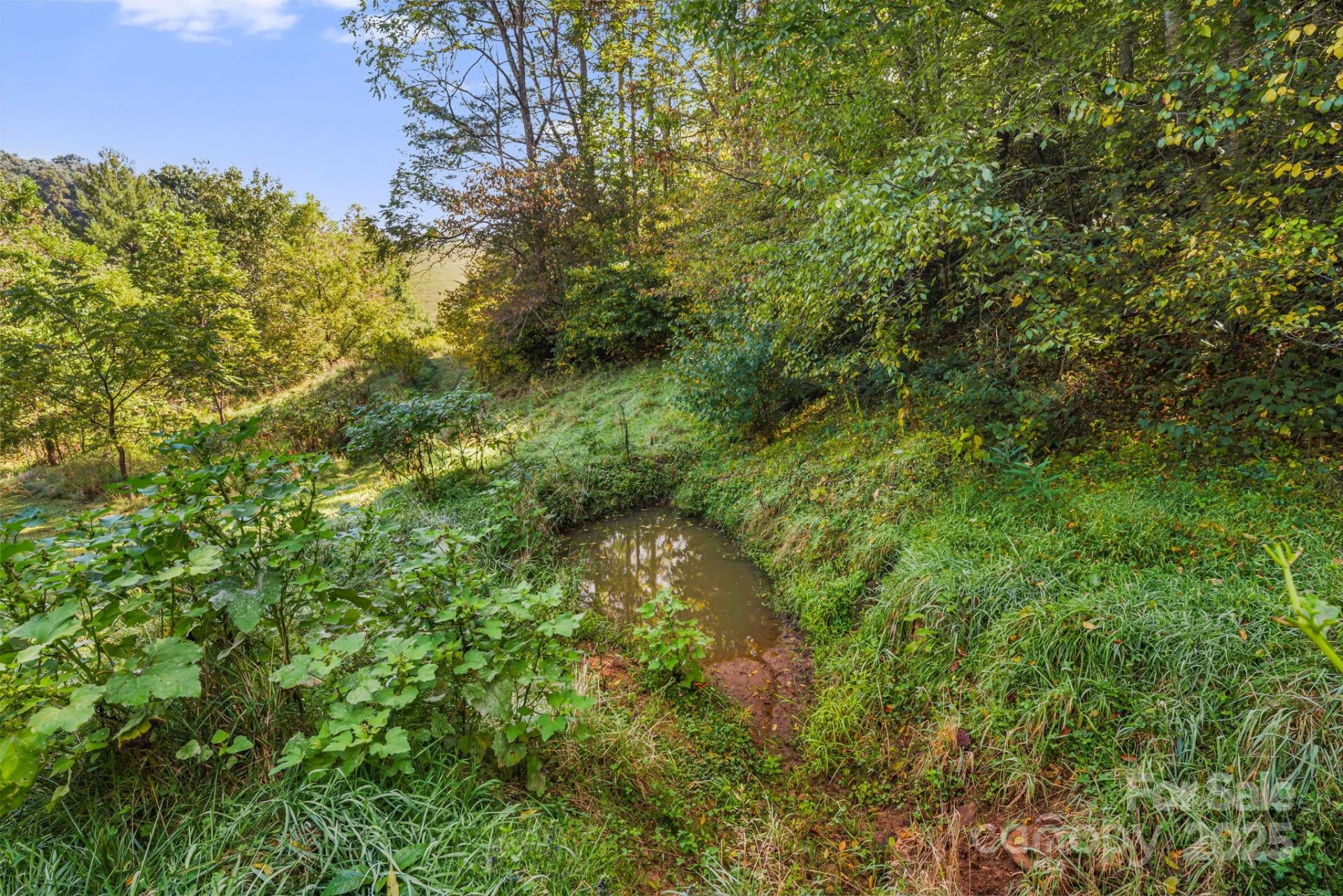 000 Maney Branch Road - Photo 32