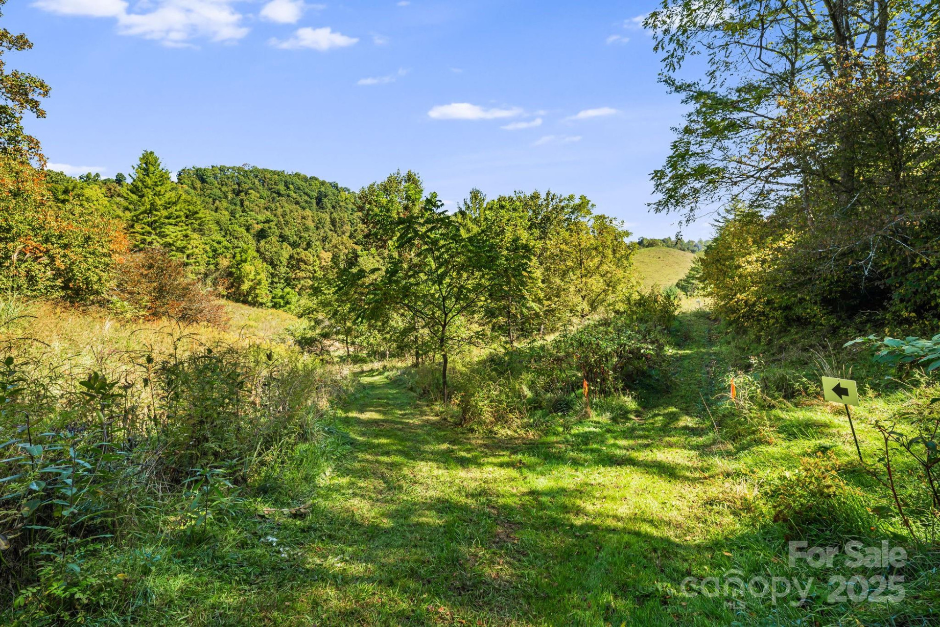 000 Maney Branch Road - Photo 33