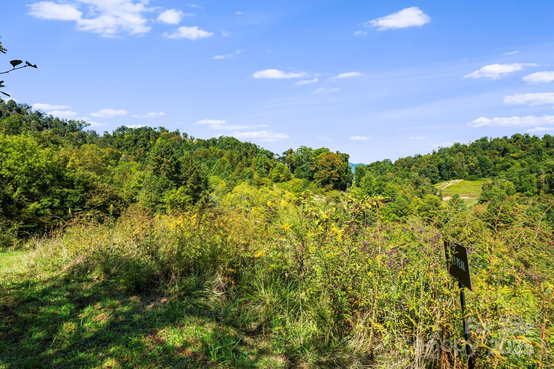 000 Maney Branch Road - Photo 34