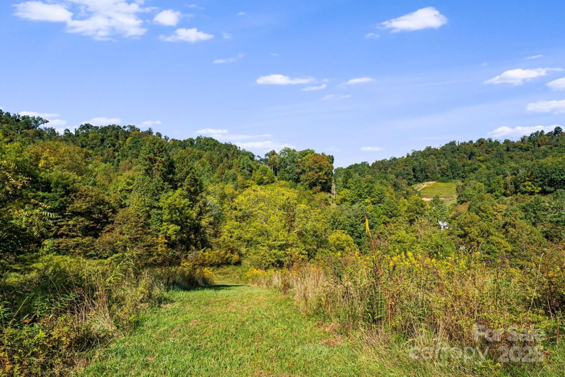 000 Maney Branch Road - Photo 35