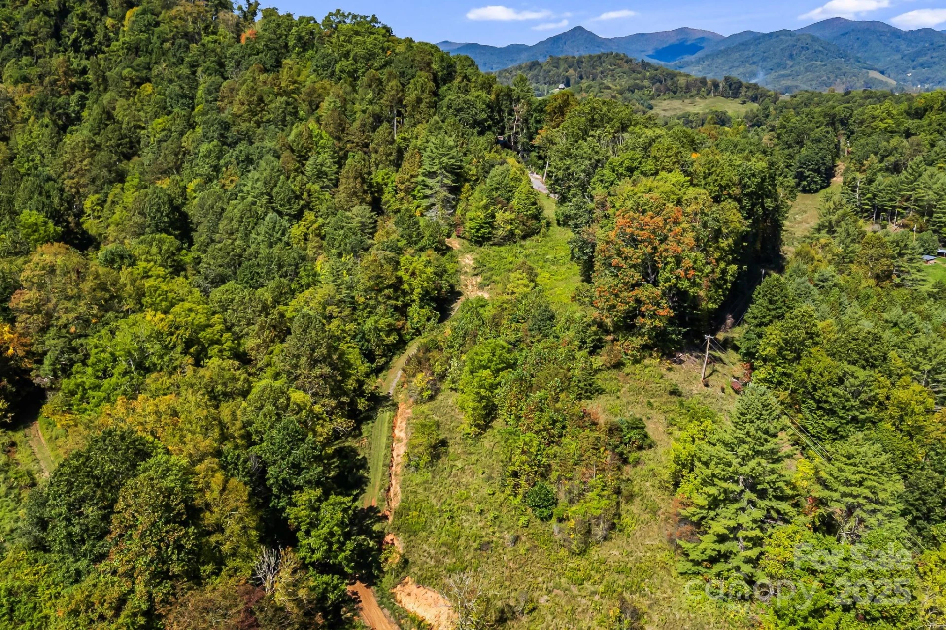 000 Maney Branch Road - Photo 36