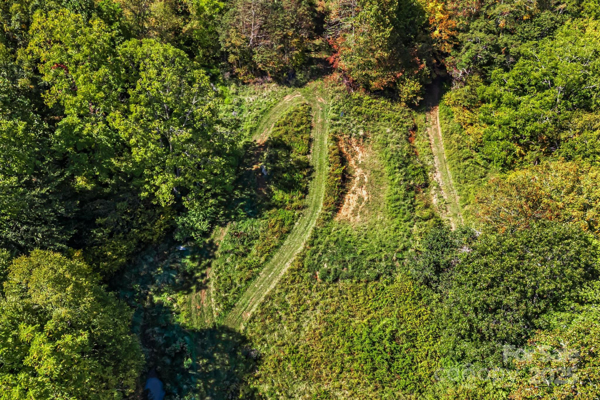 000 Maney Branch Road - Photo 37