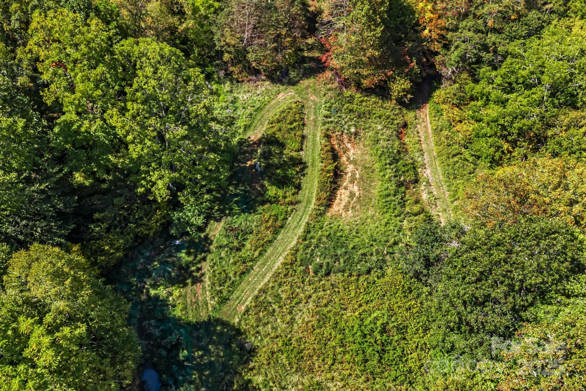 000 Maney Branch Road - Photo 37