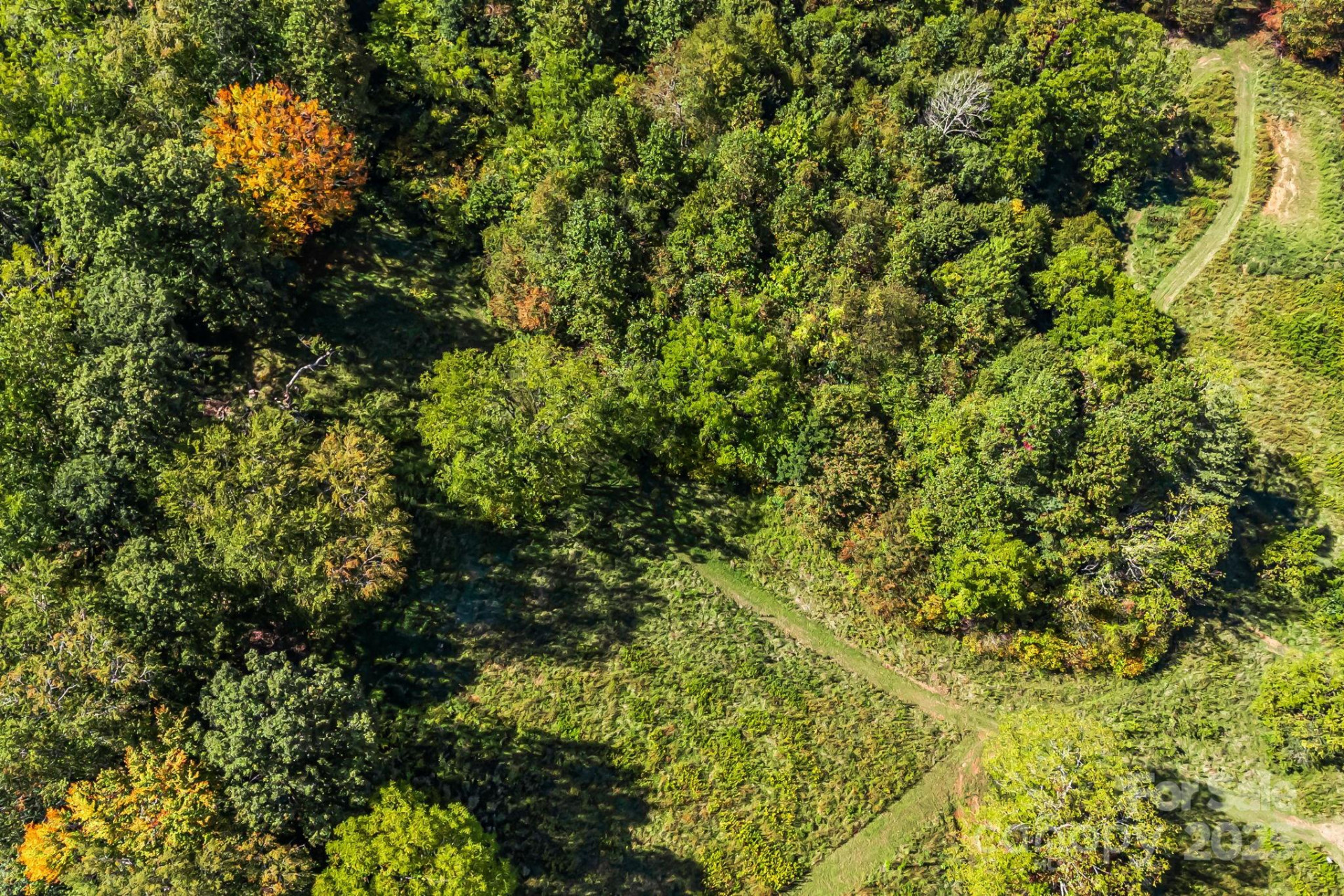 000 Maney Branch Road - Photo 38