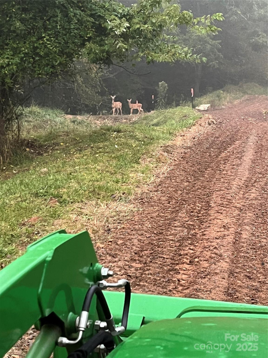 000 Maney Branch Road - Photo 40