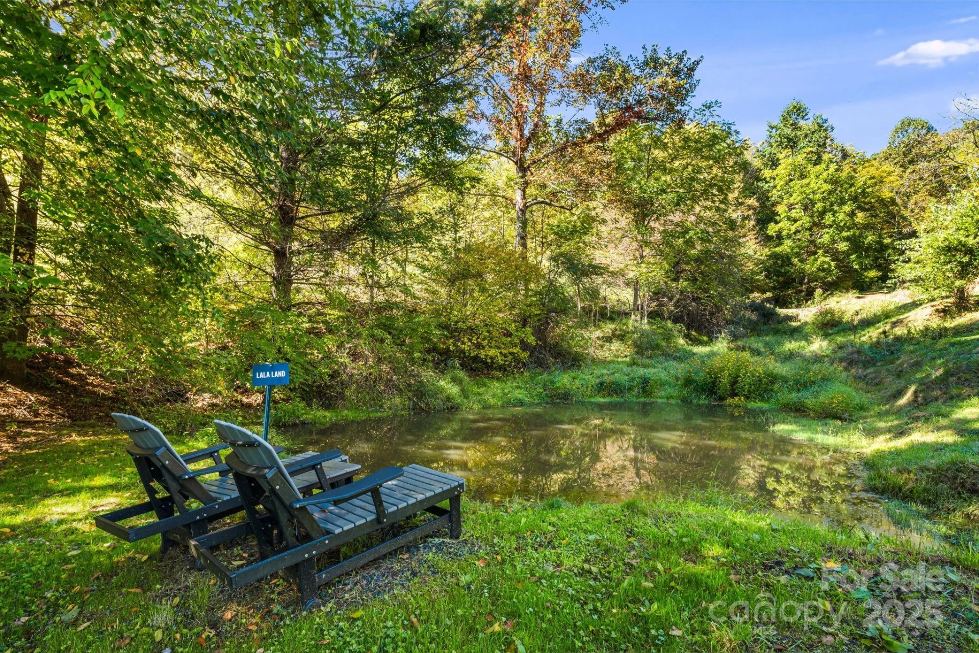000 Maney Branch Road - Photo 5