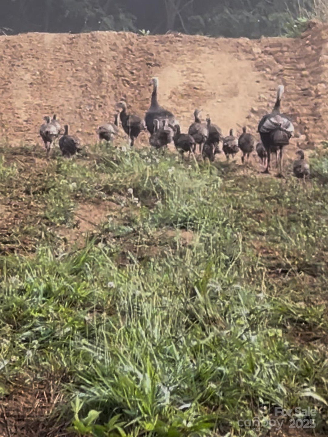 000 Maney Branch Road - Photo 41