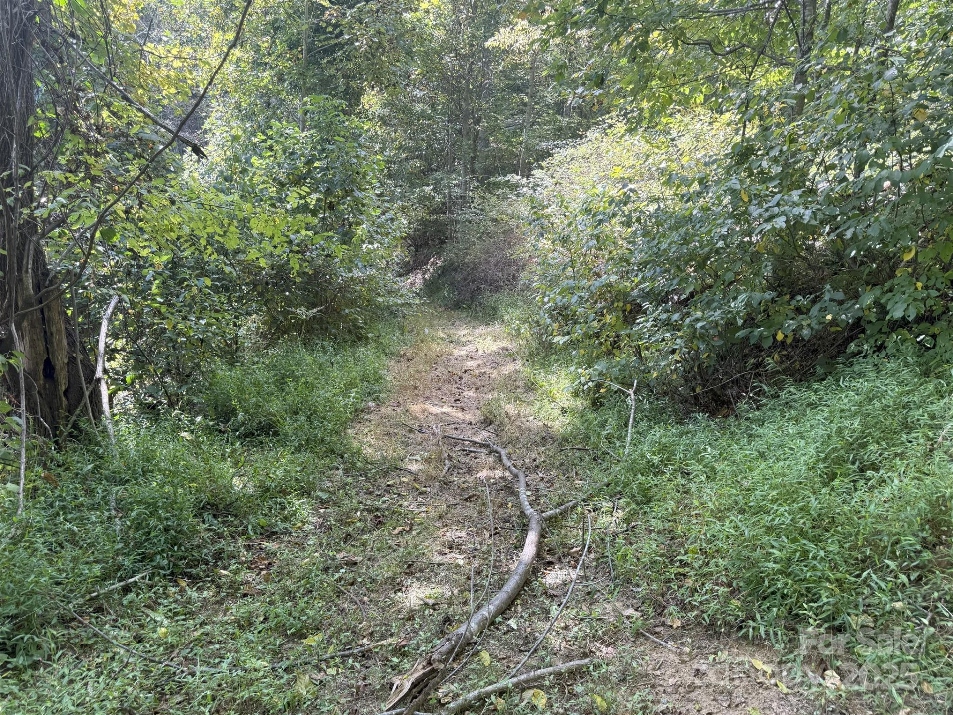 000 Maney Branch Road - Photo 42