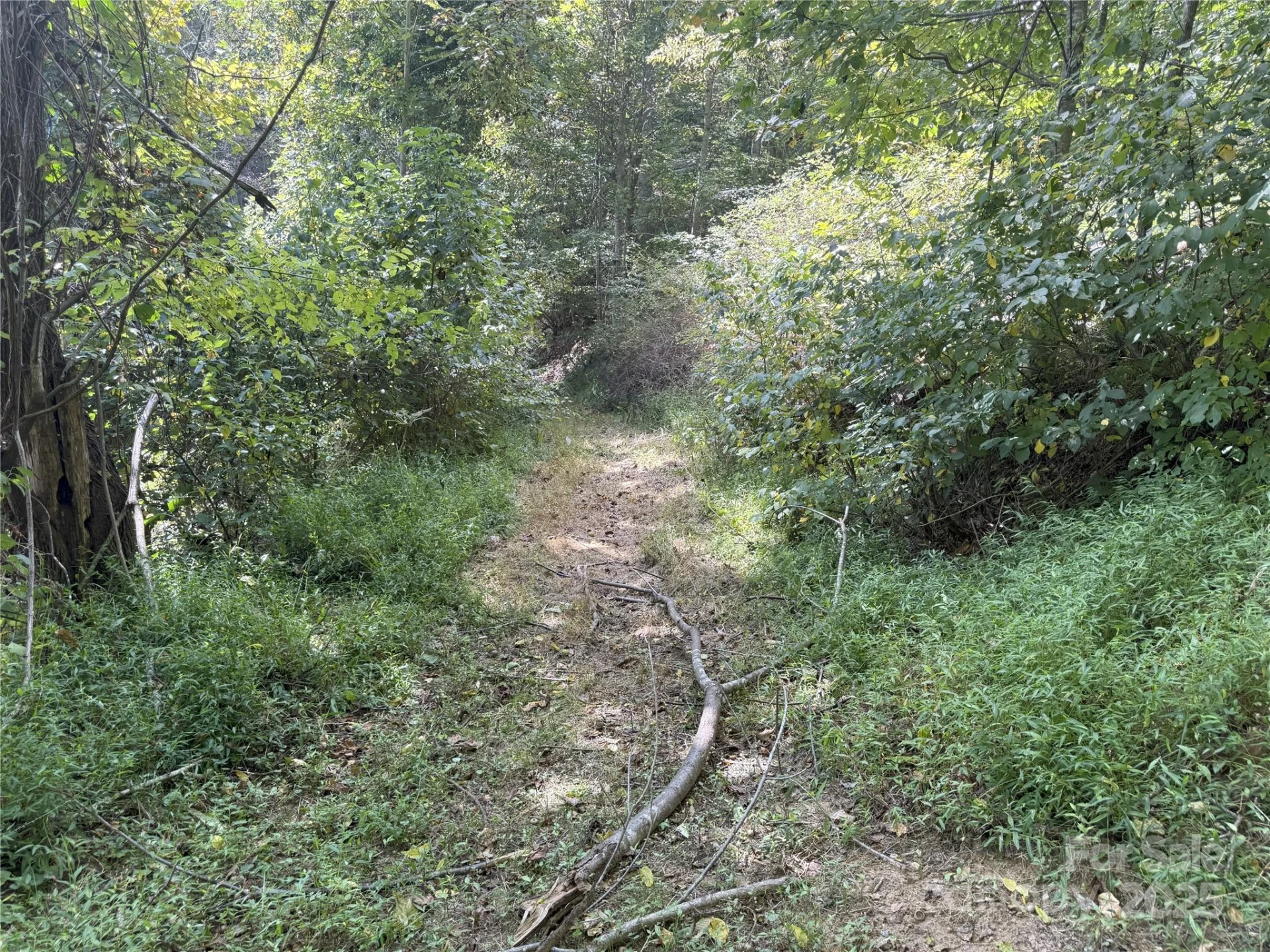 000 Maney Branch Road - Photo 42