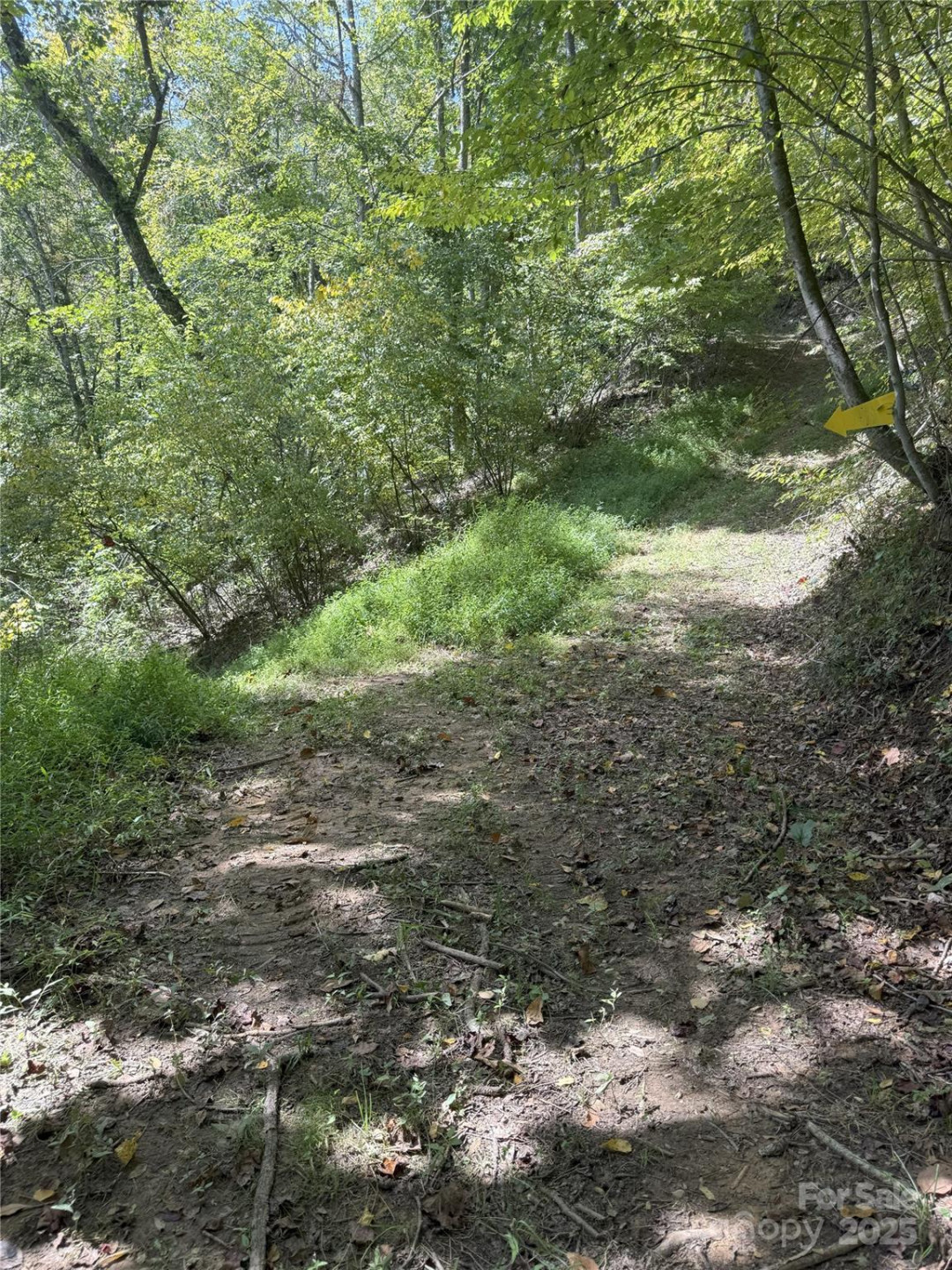 000 Maney Branch Road - Photo 44