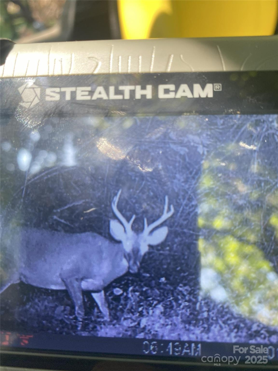 000 Maney Branch Road - Photo 45