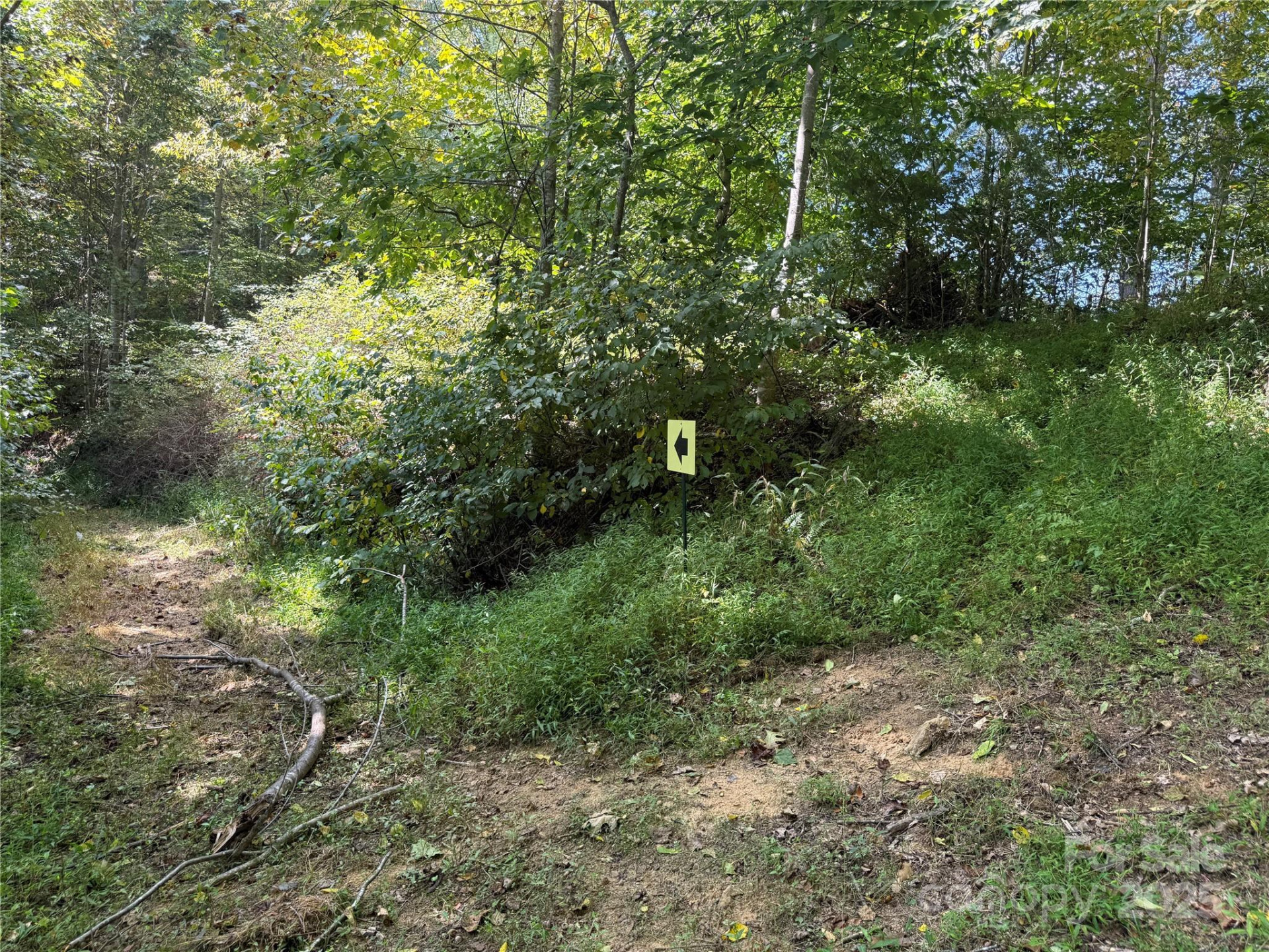 000 Maney Branch Road - Photo 46