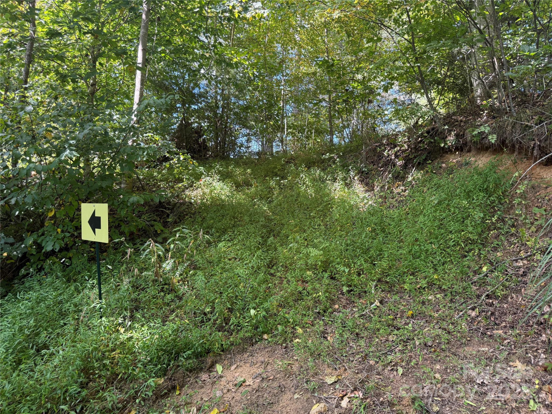 000 Maney Branch Road - Photo 47