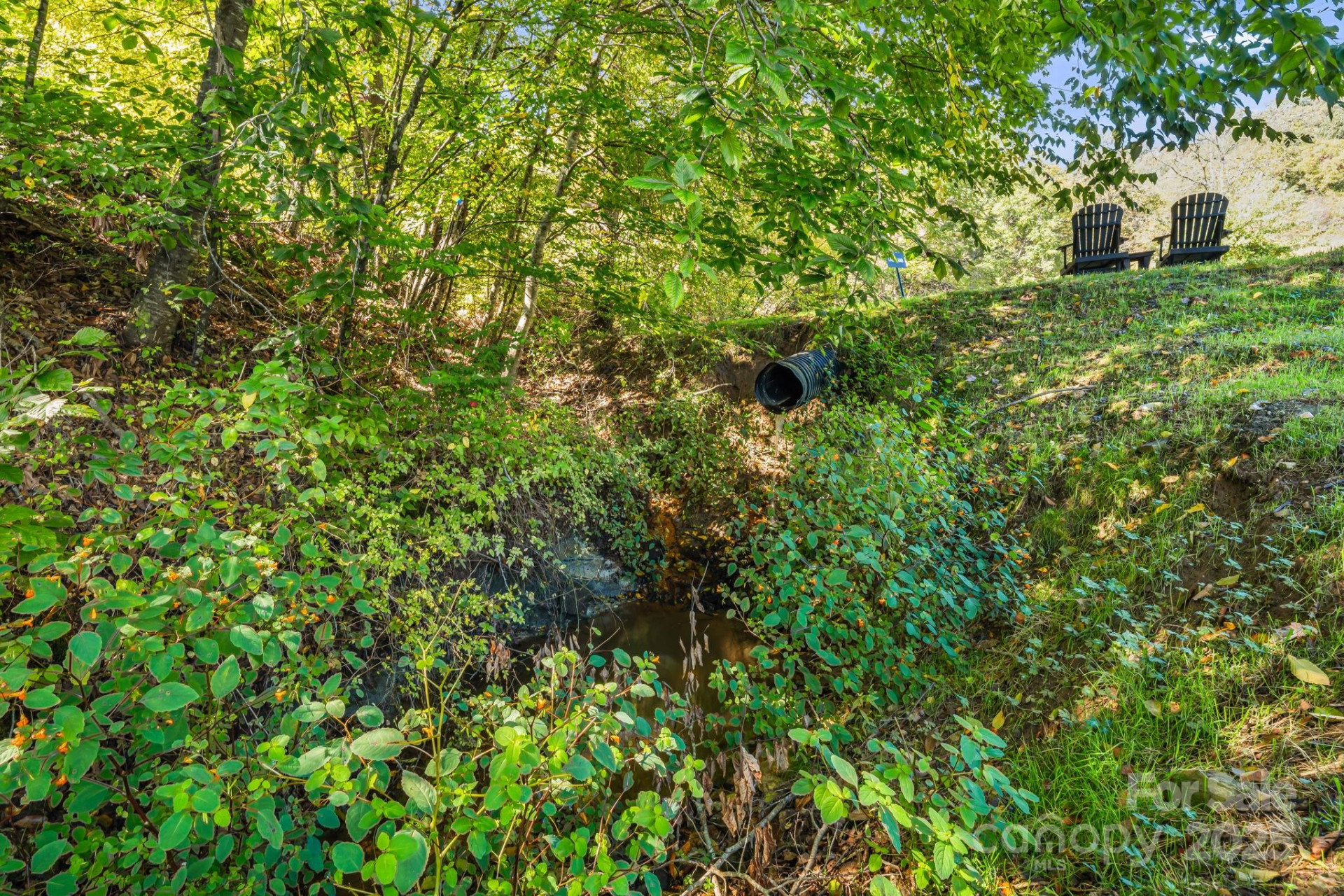 000 Maney Branch Road - Photo 6