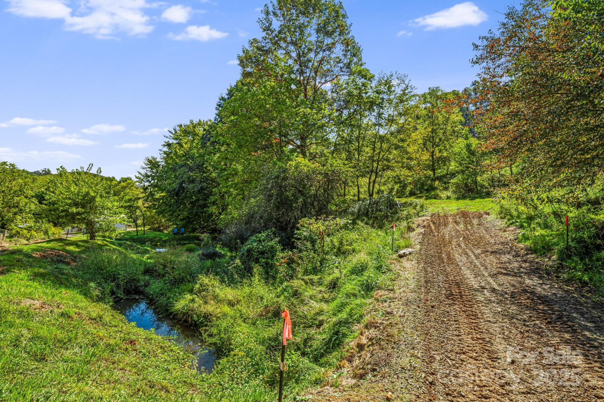 000 Maney Branch Road - Photo 9