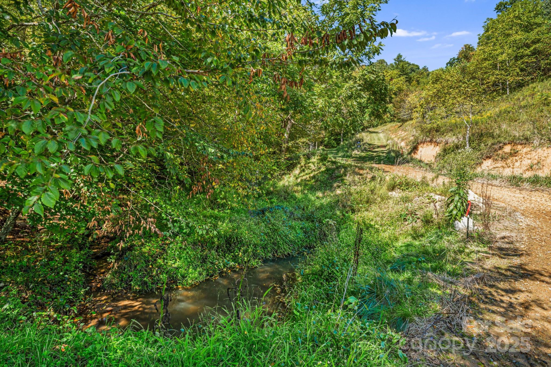 000 Maney Branch Road - Photo 10