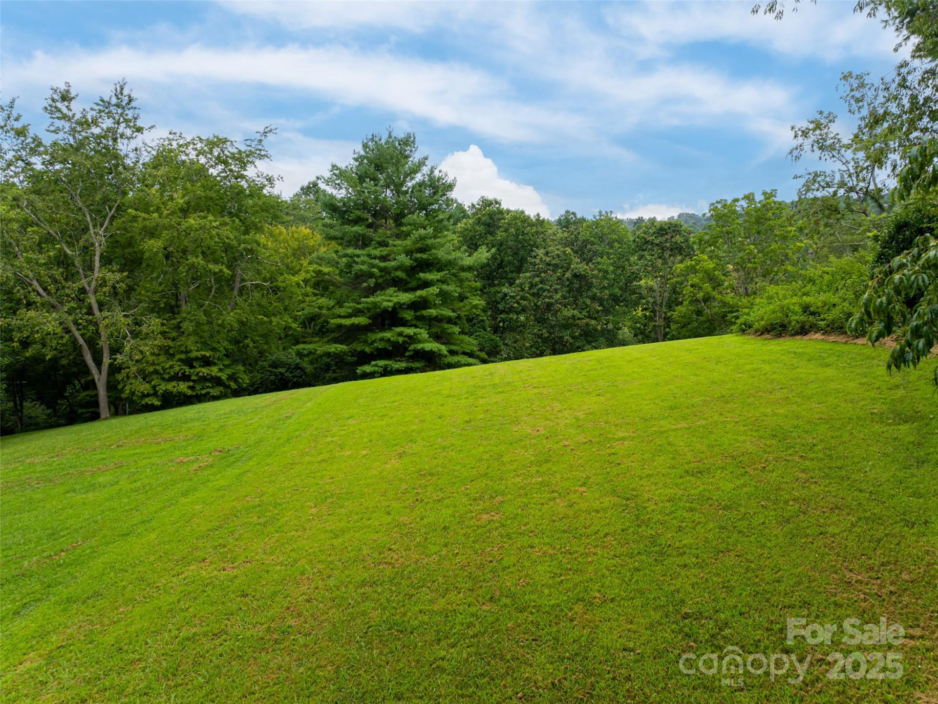 91 Carter Cove Road - Photo 46