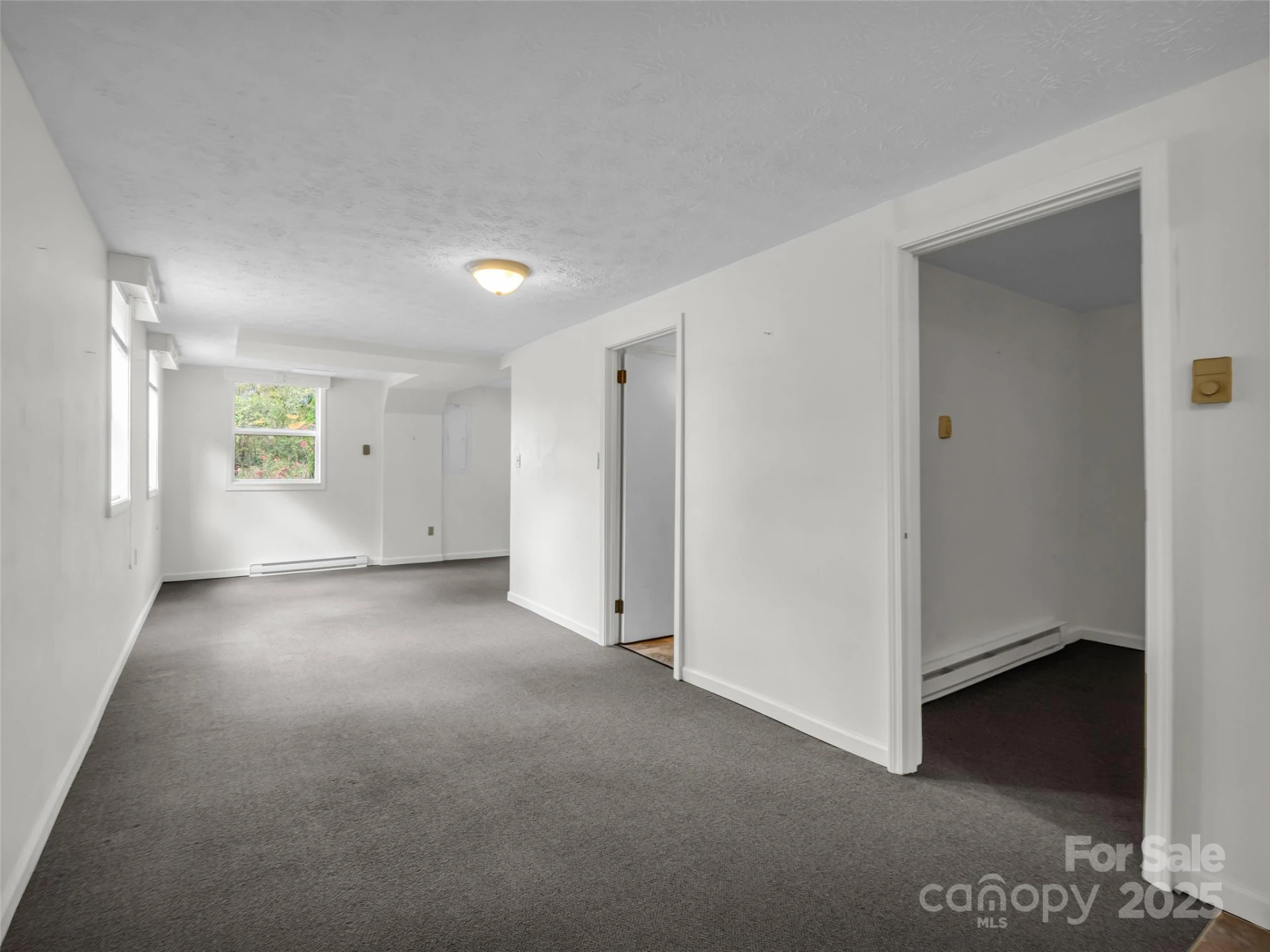 6 Beech Street - Photo 25