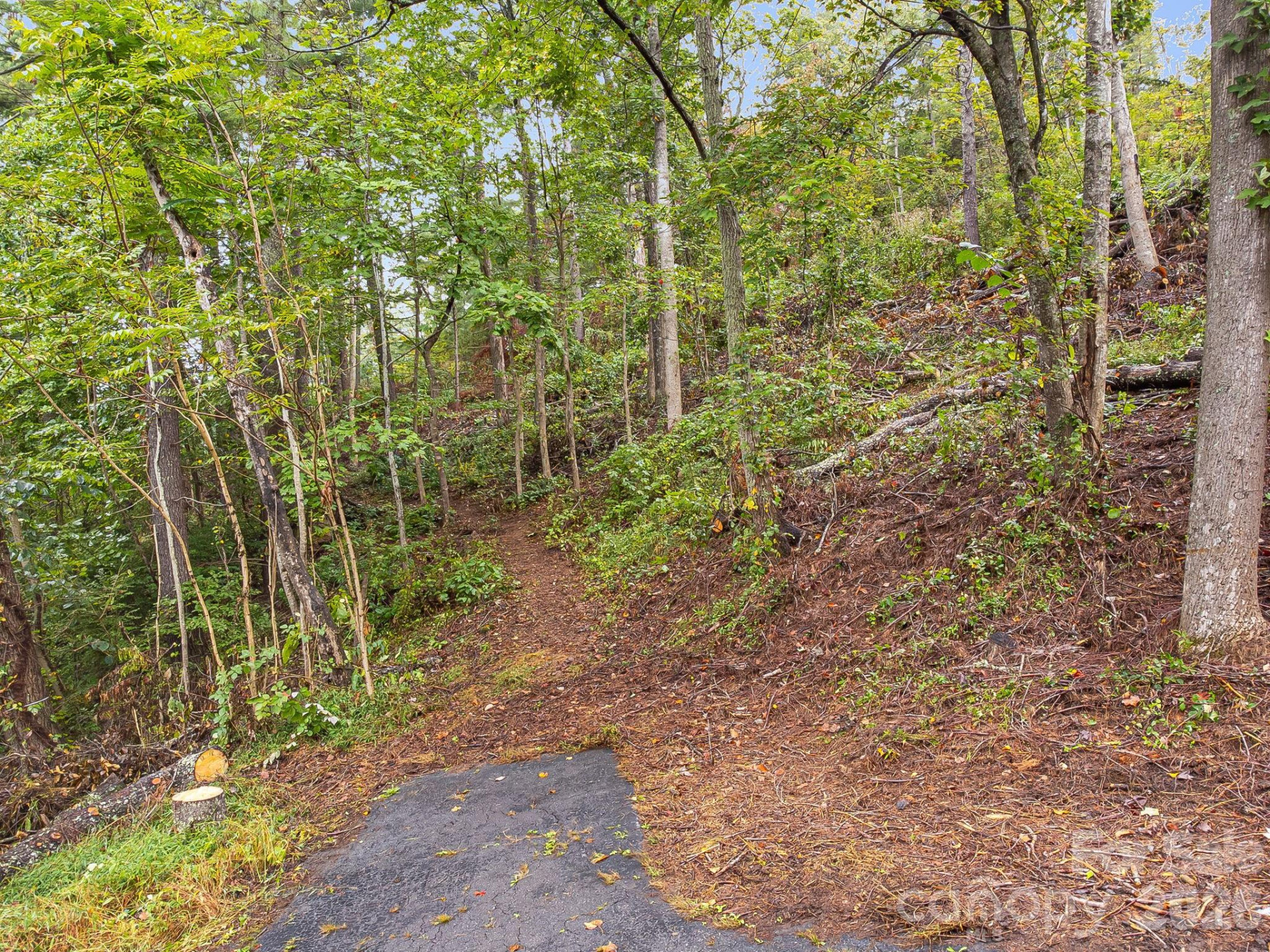 99999 Beaverbrook Road #2 - Photo 3