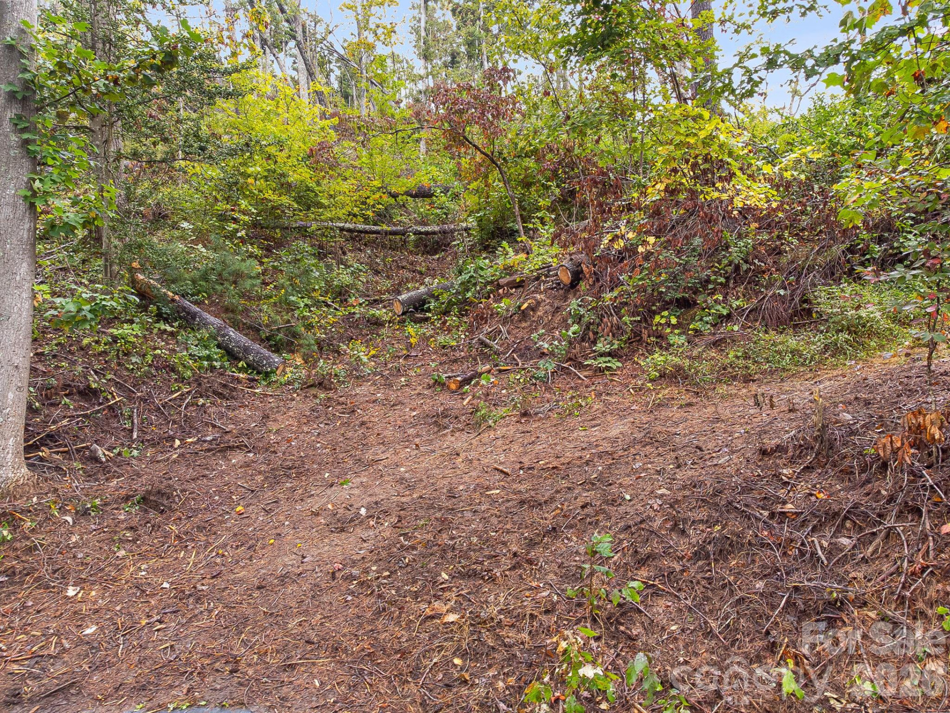 99999 Beaverbrook Road #2 - Photo 21