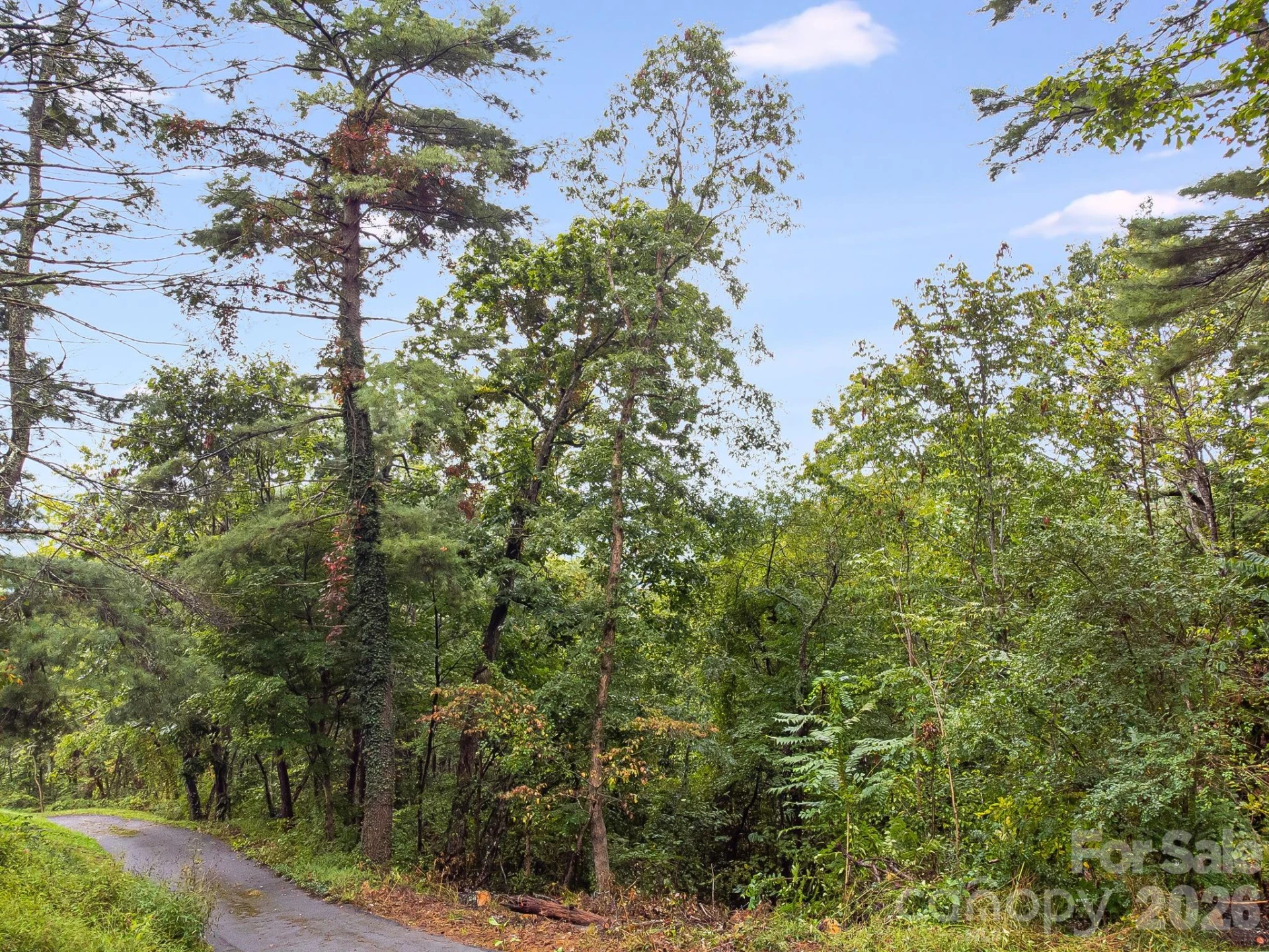 99999 Beaverbrook Road #2 - Photo 23