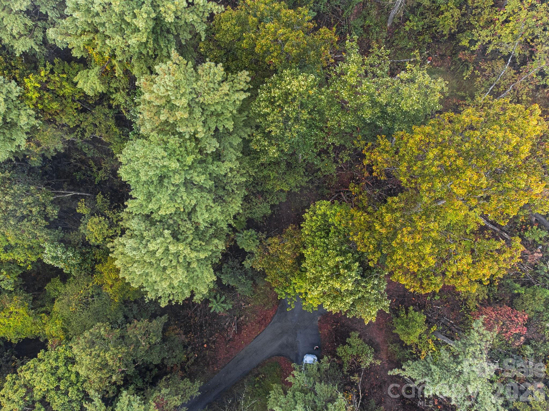 99999 Beaverbrook Road #2 - Photo 24