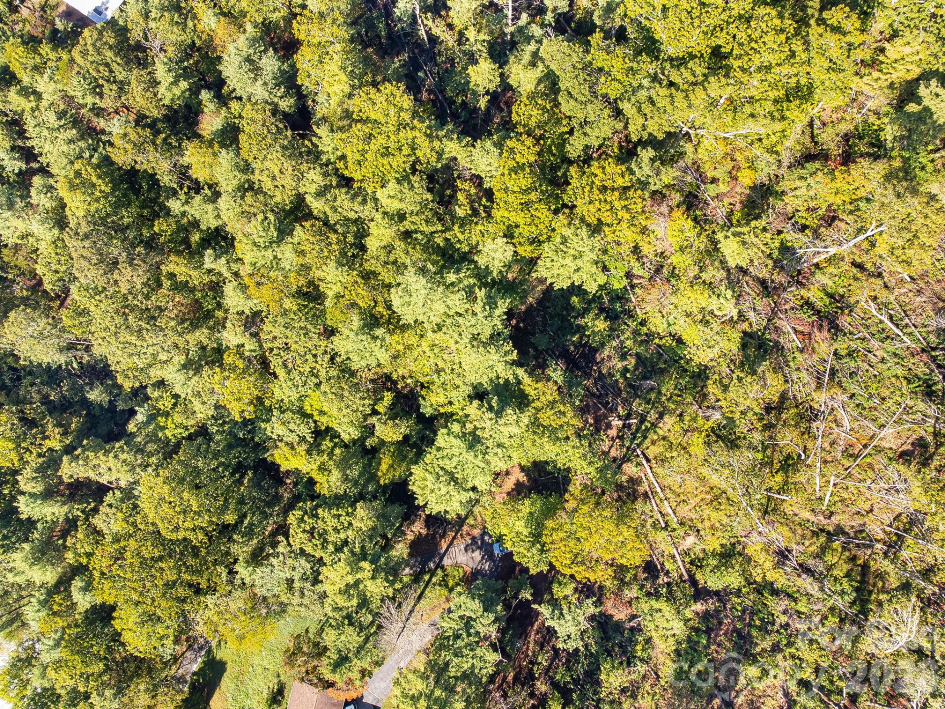 99999 Beaverbrook Road #2 - Photo 26