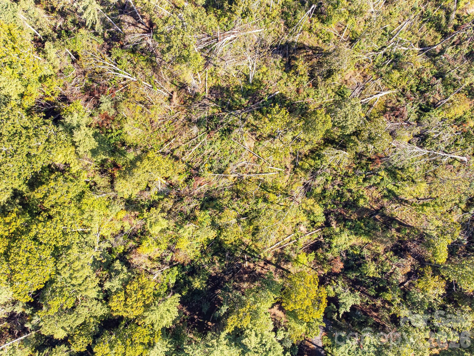 99999 Beaverbrook Road #2 - Photo 27