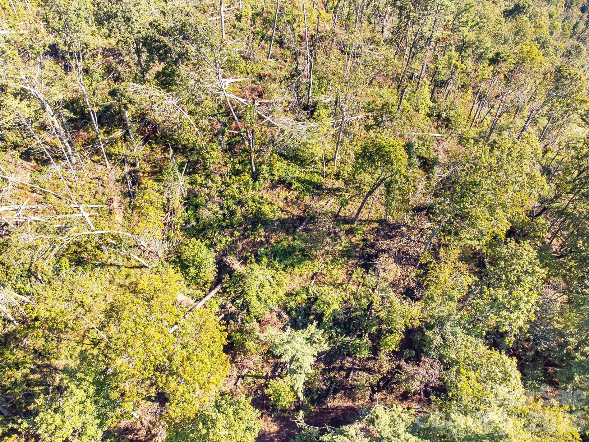 99999 Beaverbrook Road #2 - Photo 28