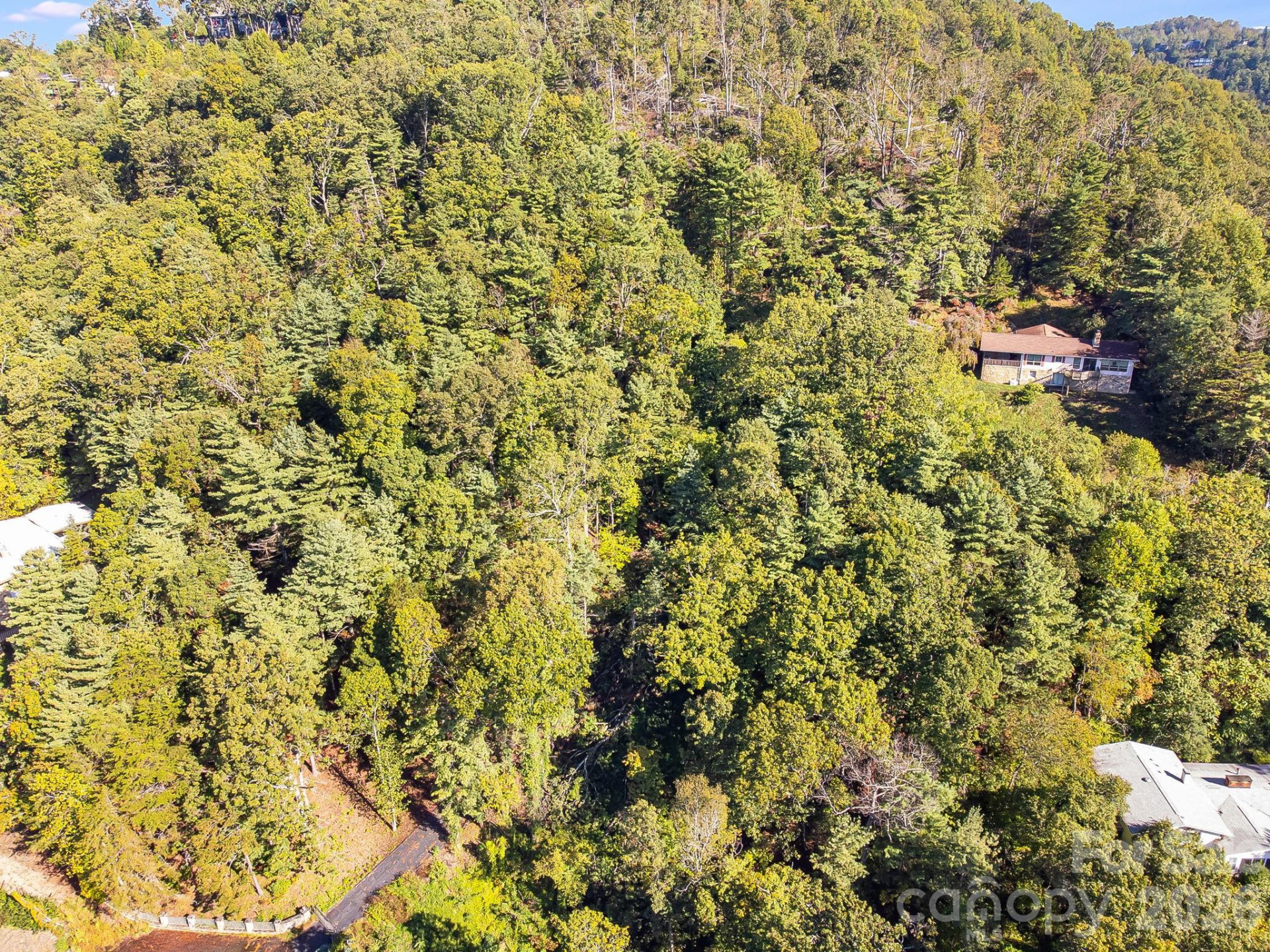 99999 Beaverbrook Road #2 - Photo 29