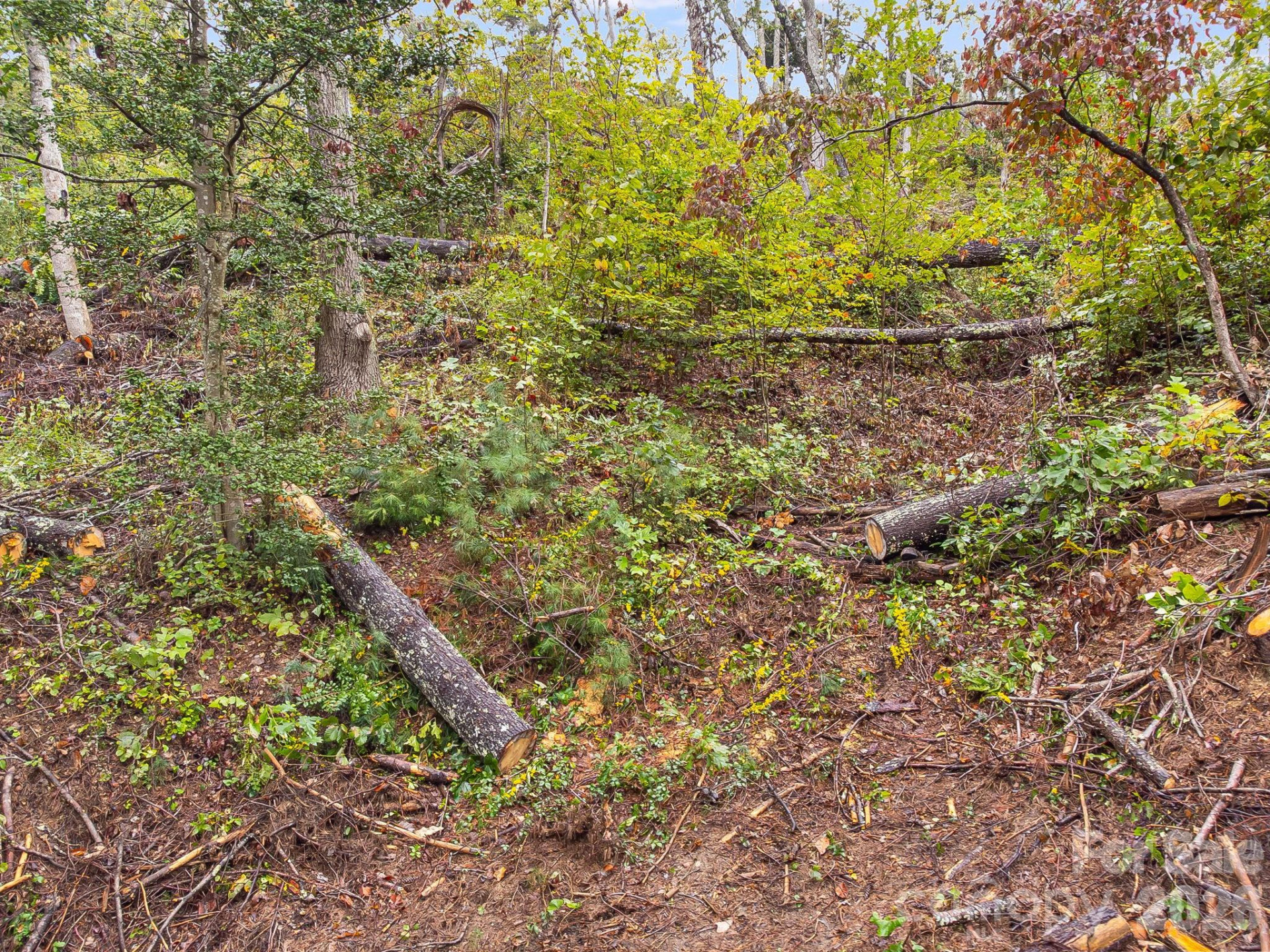 99999 Beaverbrook Road #2 - Photo 4