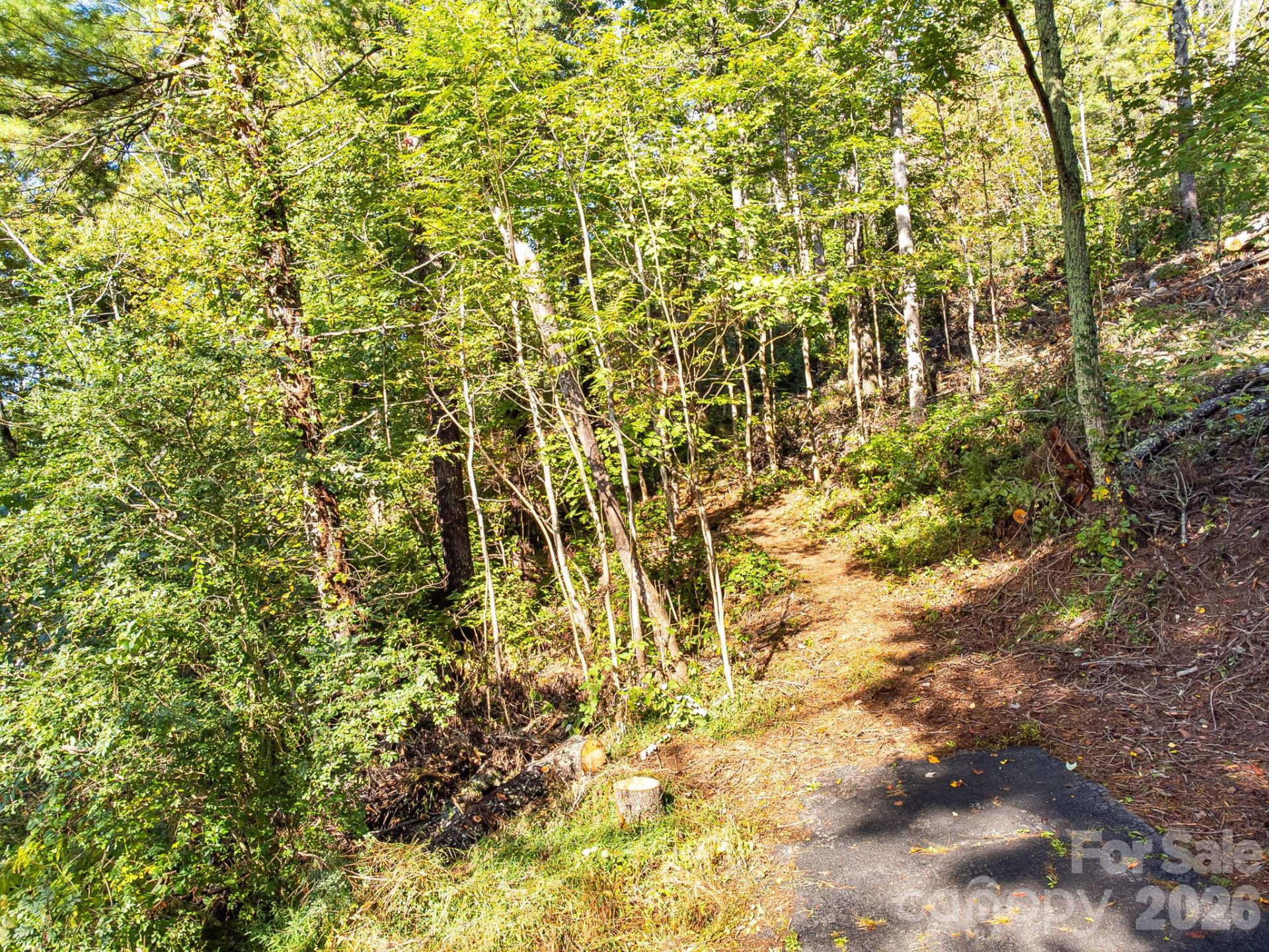 99999 Beaverbrook Road #2 - Photo 5