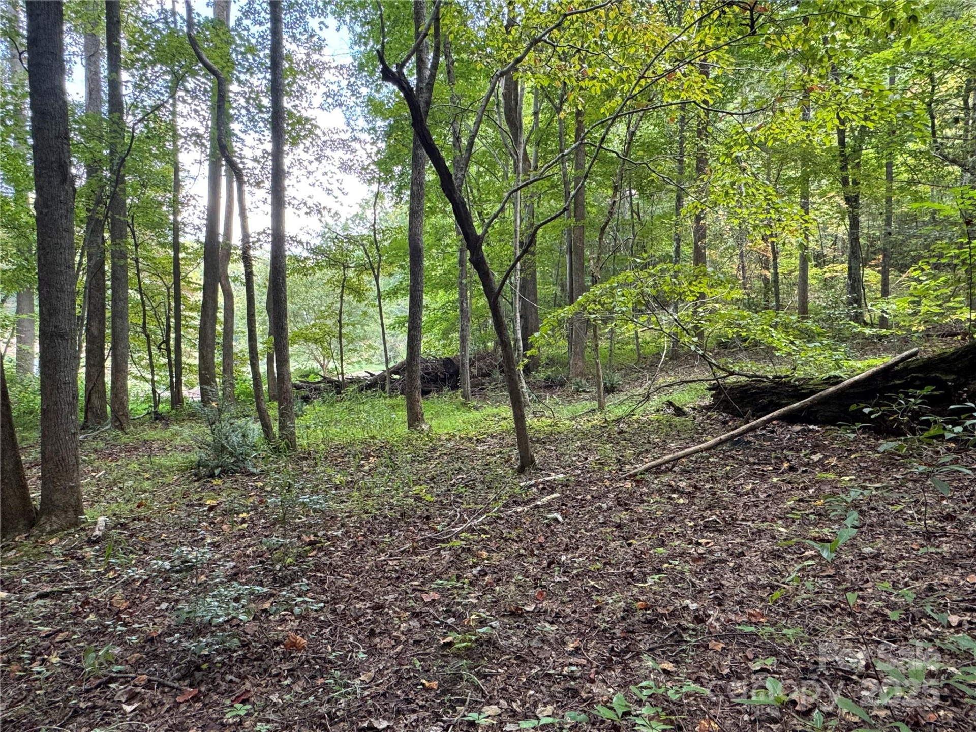 36 Bee Tree Point Court - Photo 12