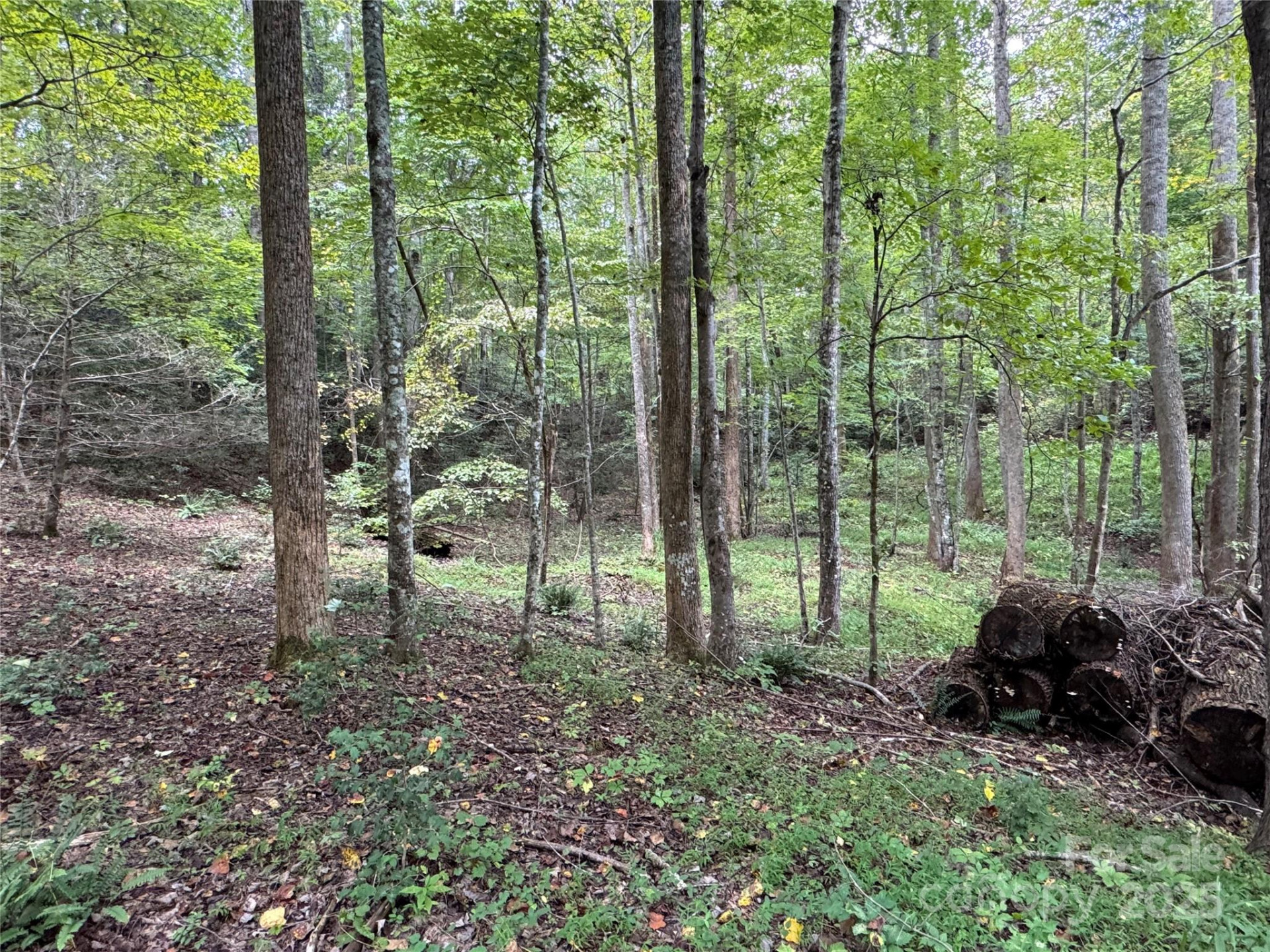 36 Bee Tree Point Court - Photo 14