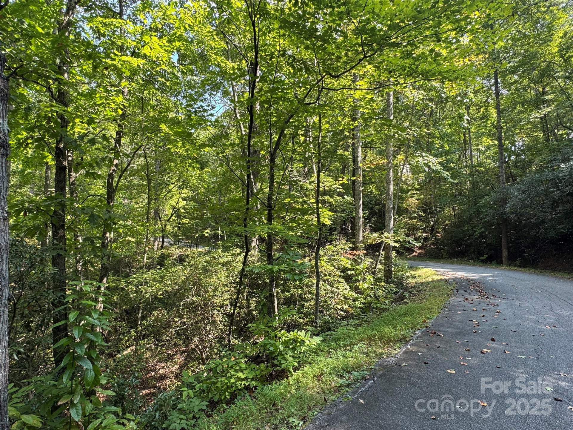 36 Bee Tree Point Court - Photo 15