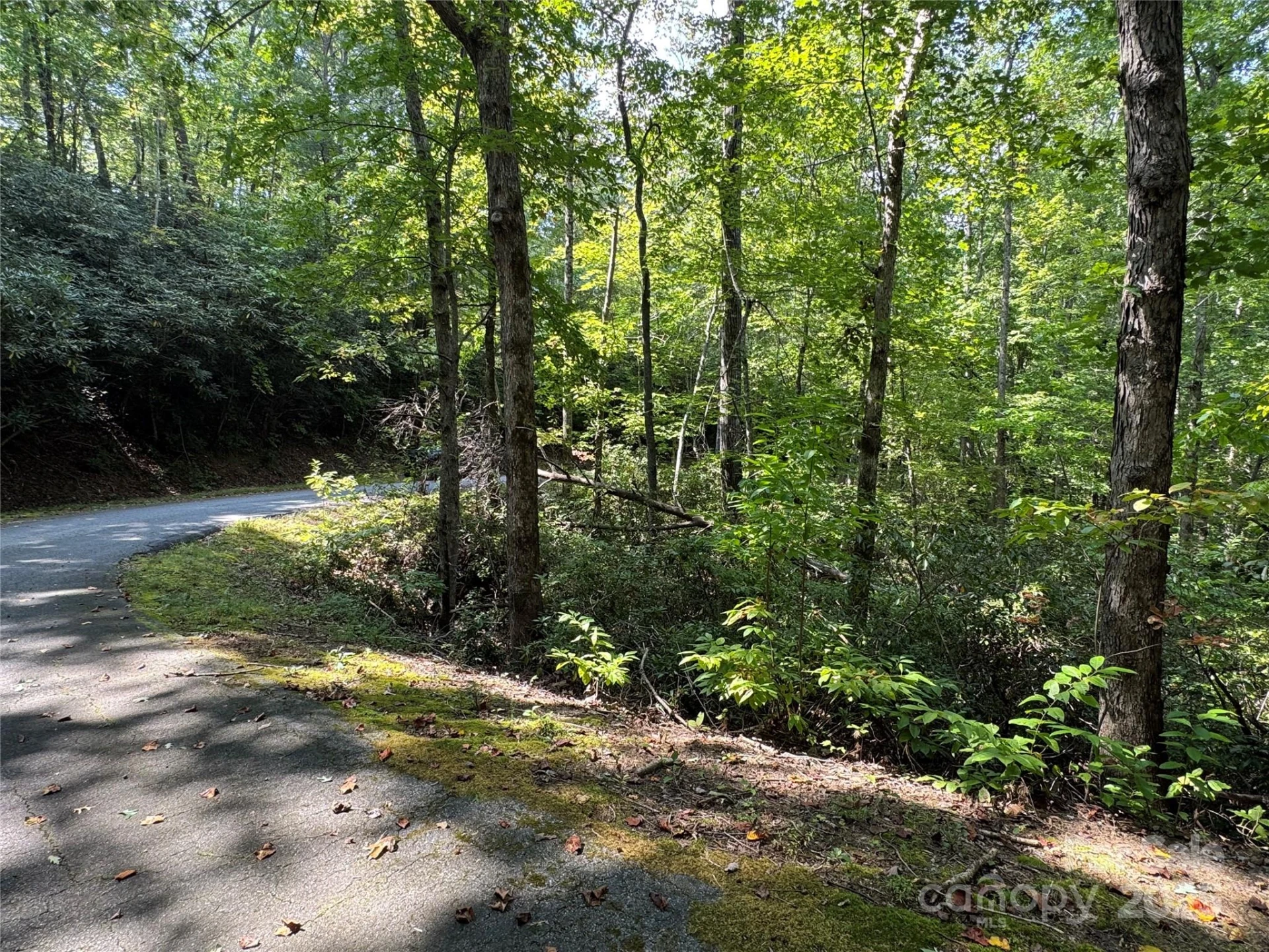 36 Bee Tree Point Court - Photo 16