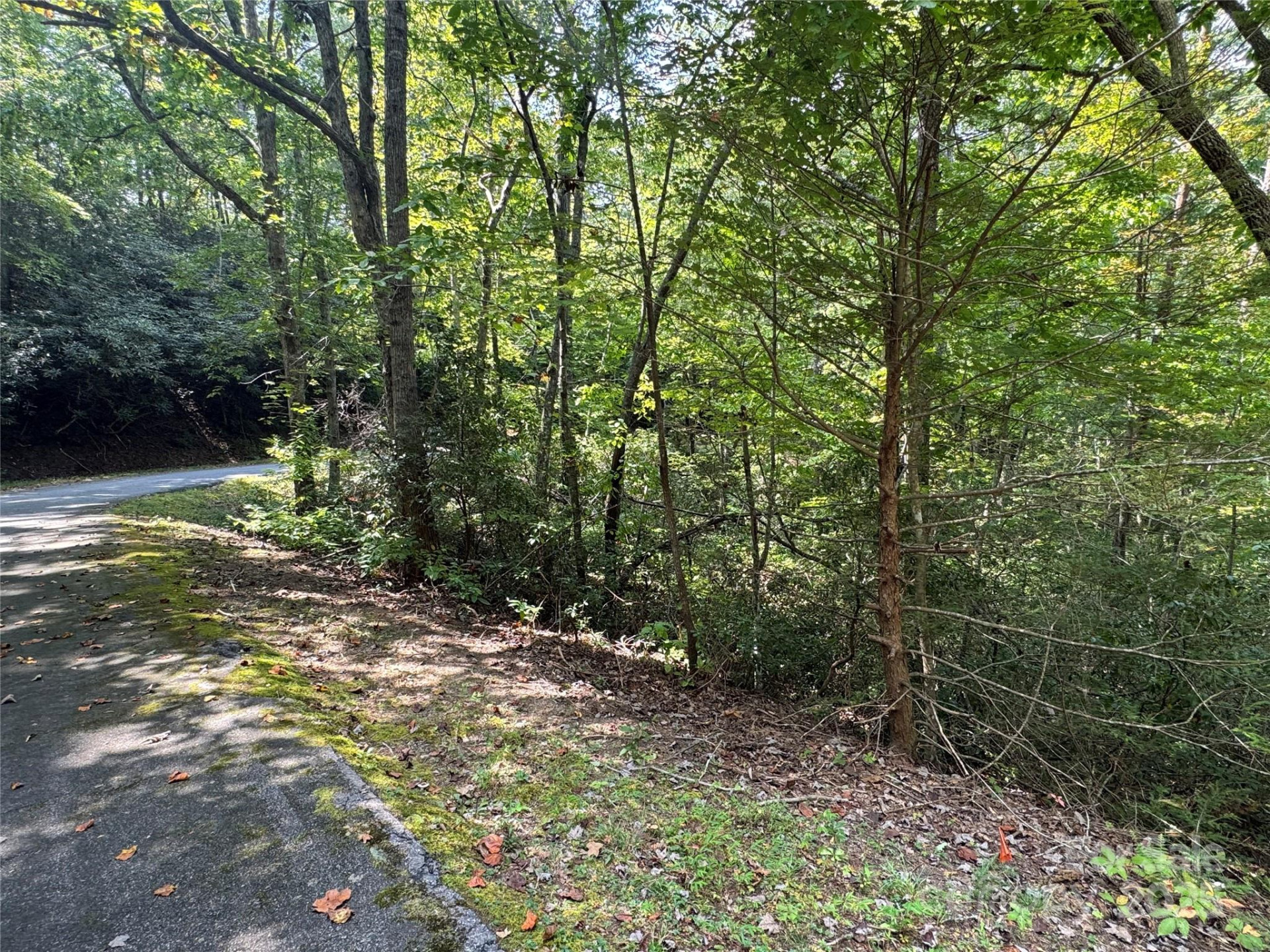 36 Bee Tree Point Court - Photo 17