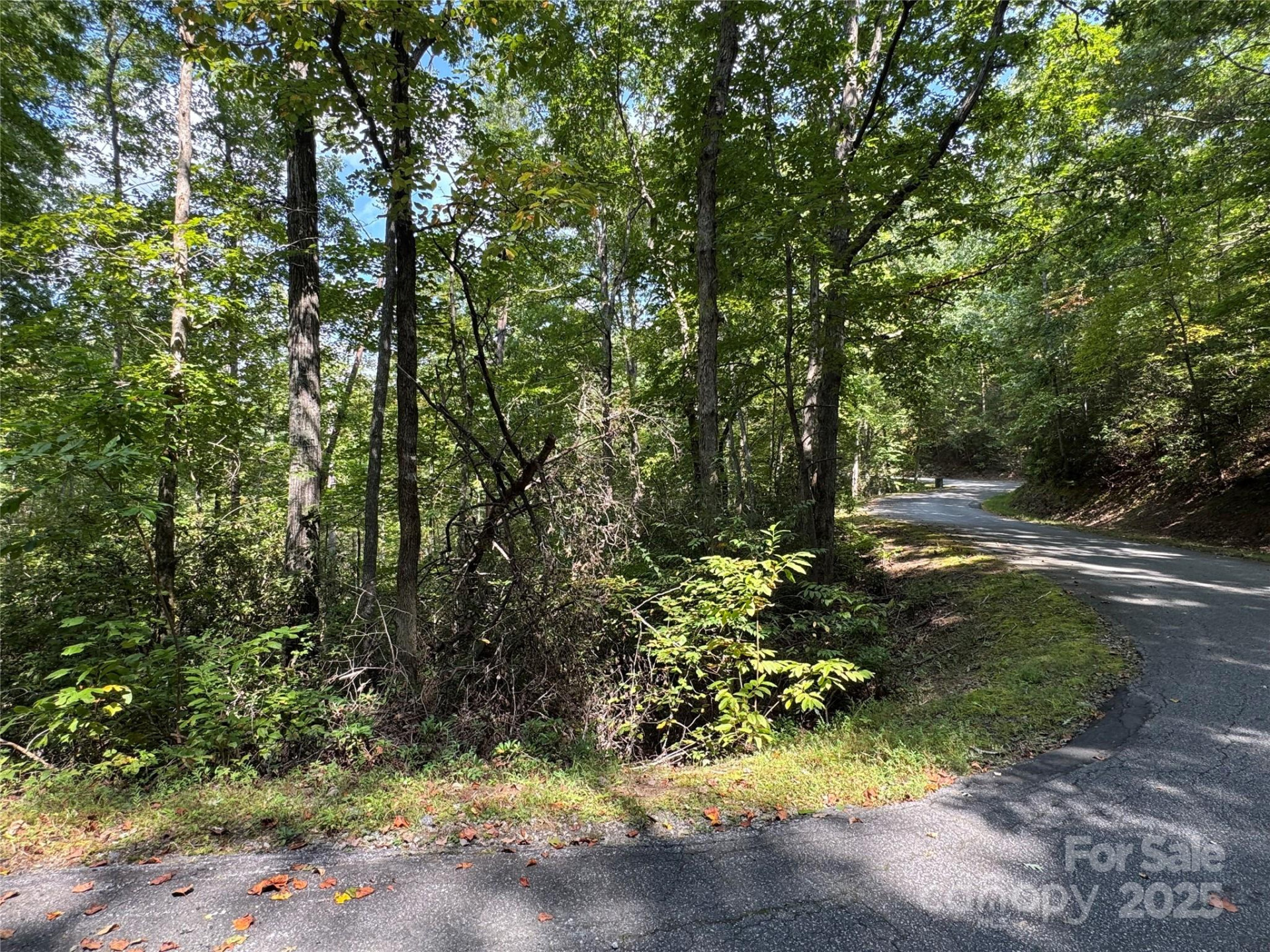 36 Bee Tree Point Court - Photo 18