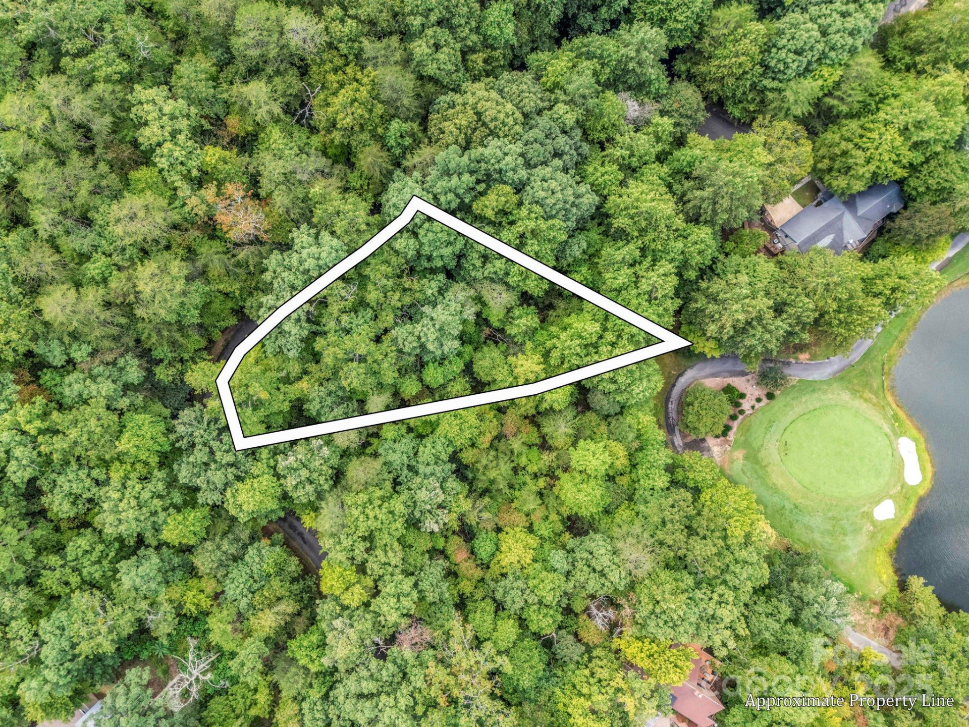 36 Bee Tree Point Court - Photo 3