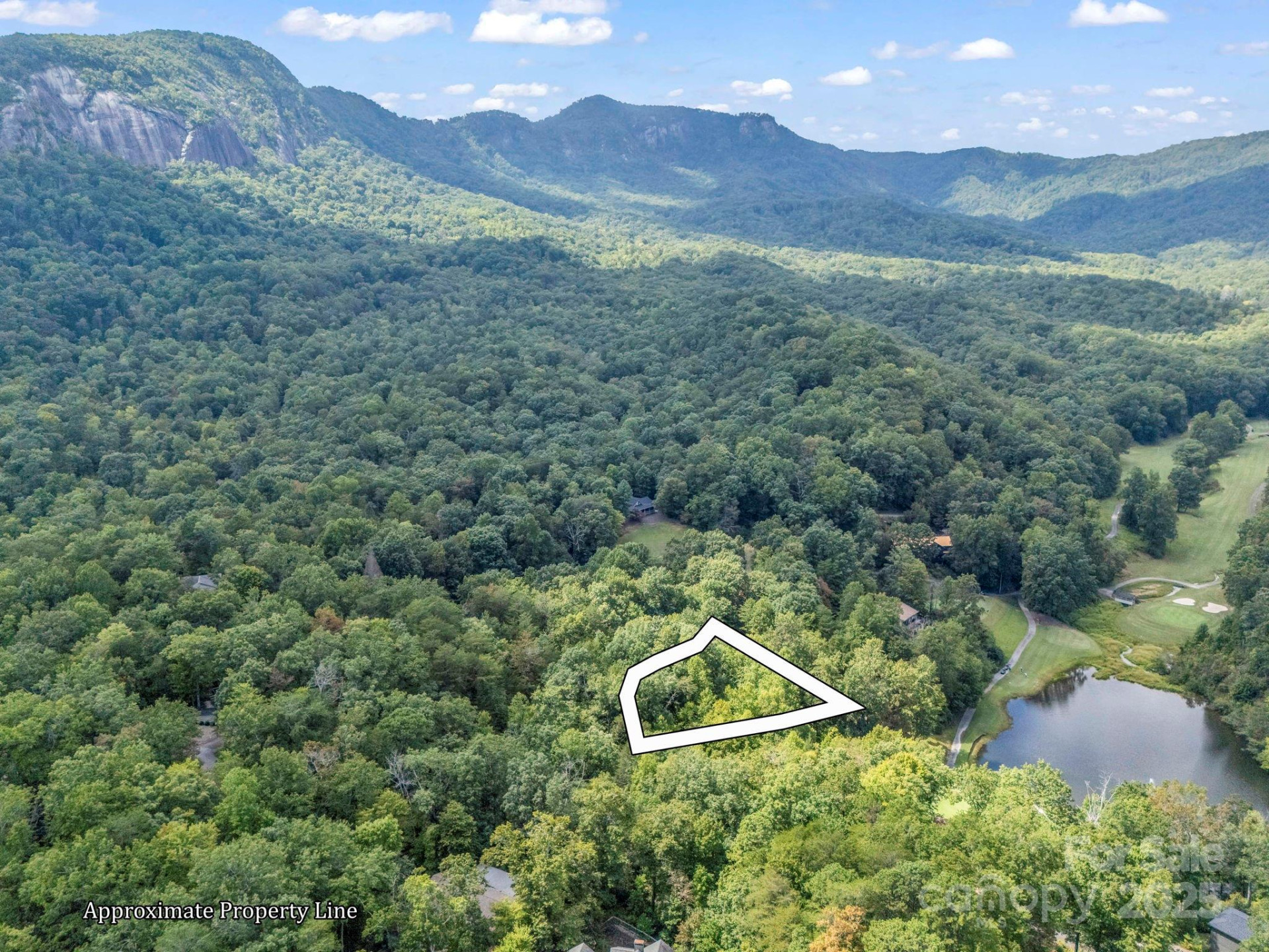 36 Bee Tree Point Court - Photo 4