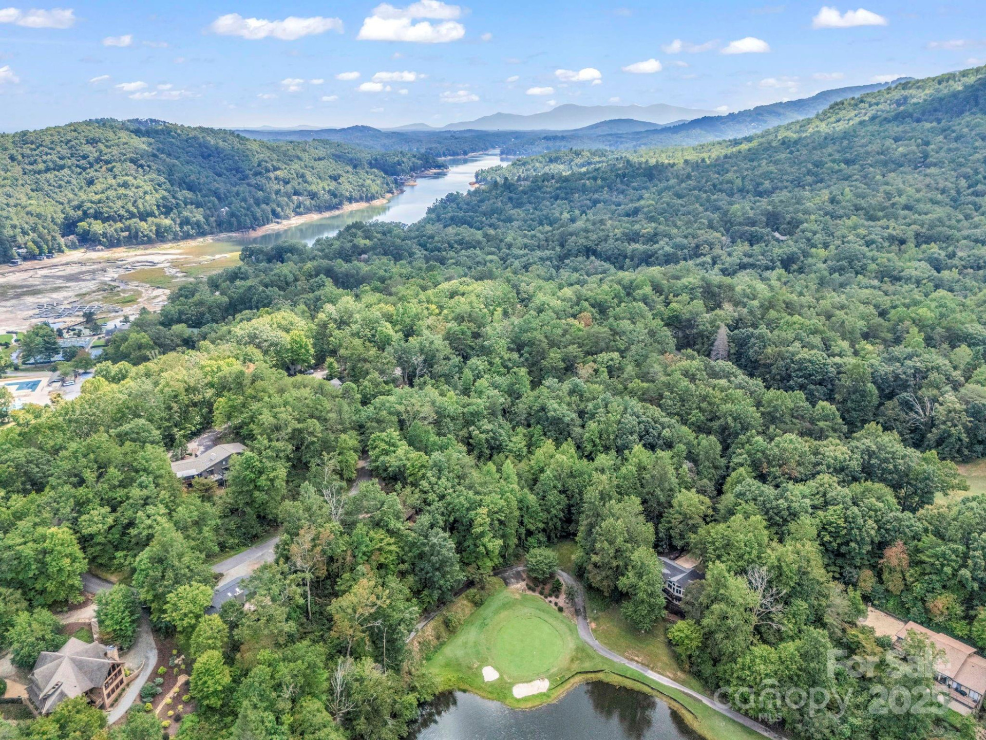 36 Bee Tree Point Court - Photo 32